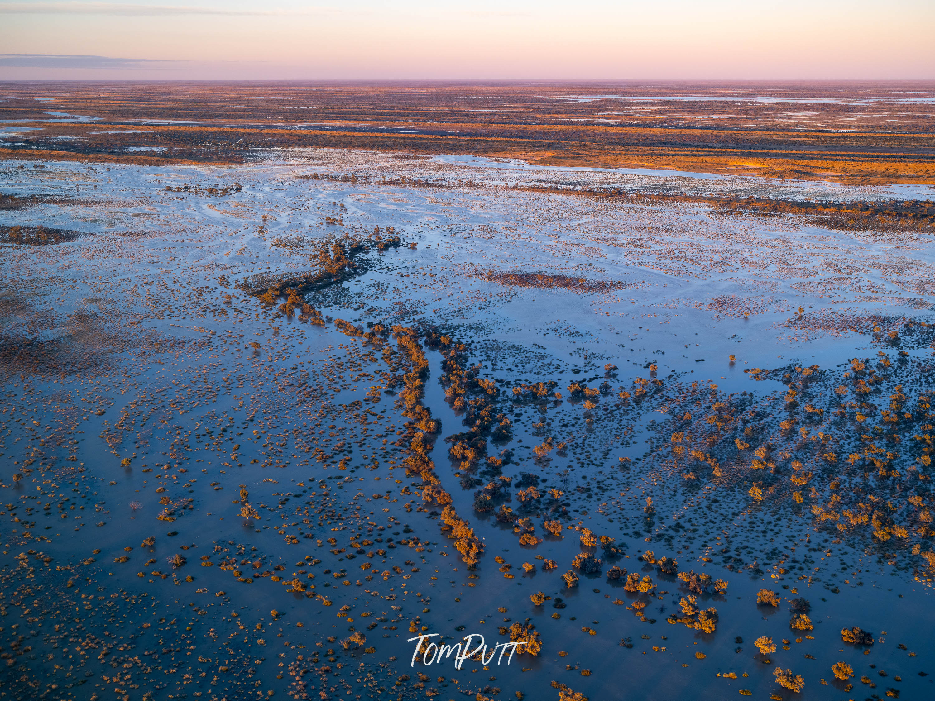 Desert Dawn. Simpson Desert