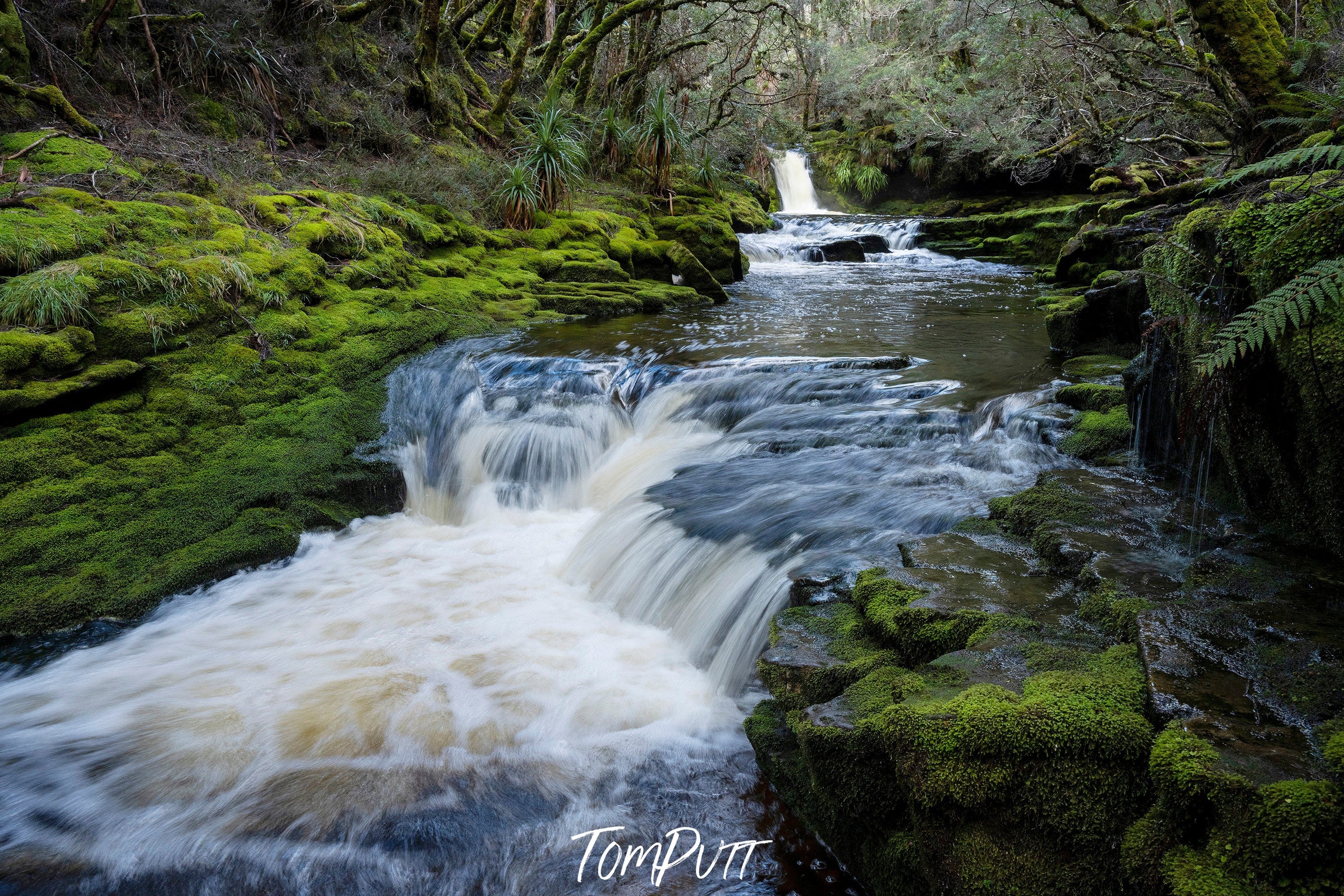 The Overland Track, Tasmania