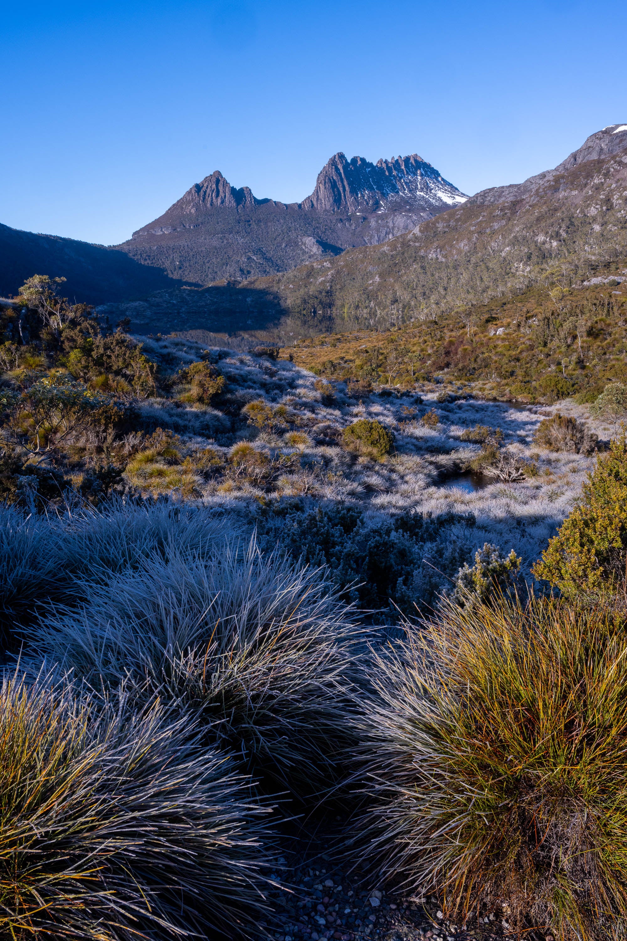 Frosty Morning, Cradle Mountain, Tasmania