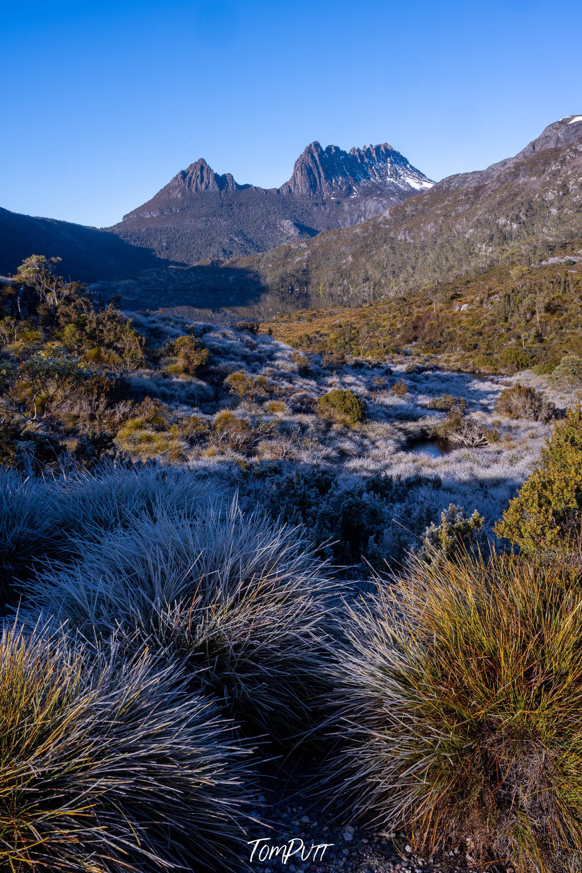 Frosty Morning, Cradle Mountain, Tasmania