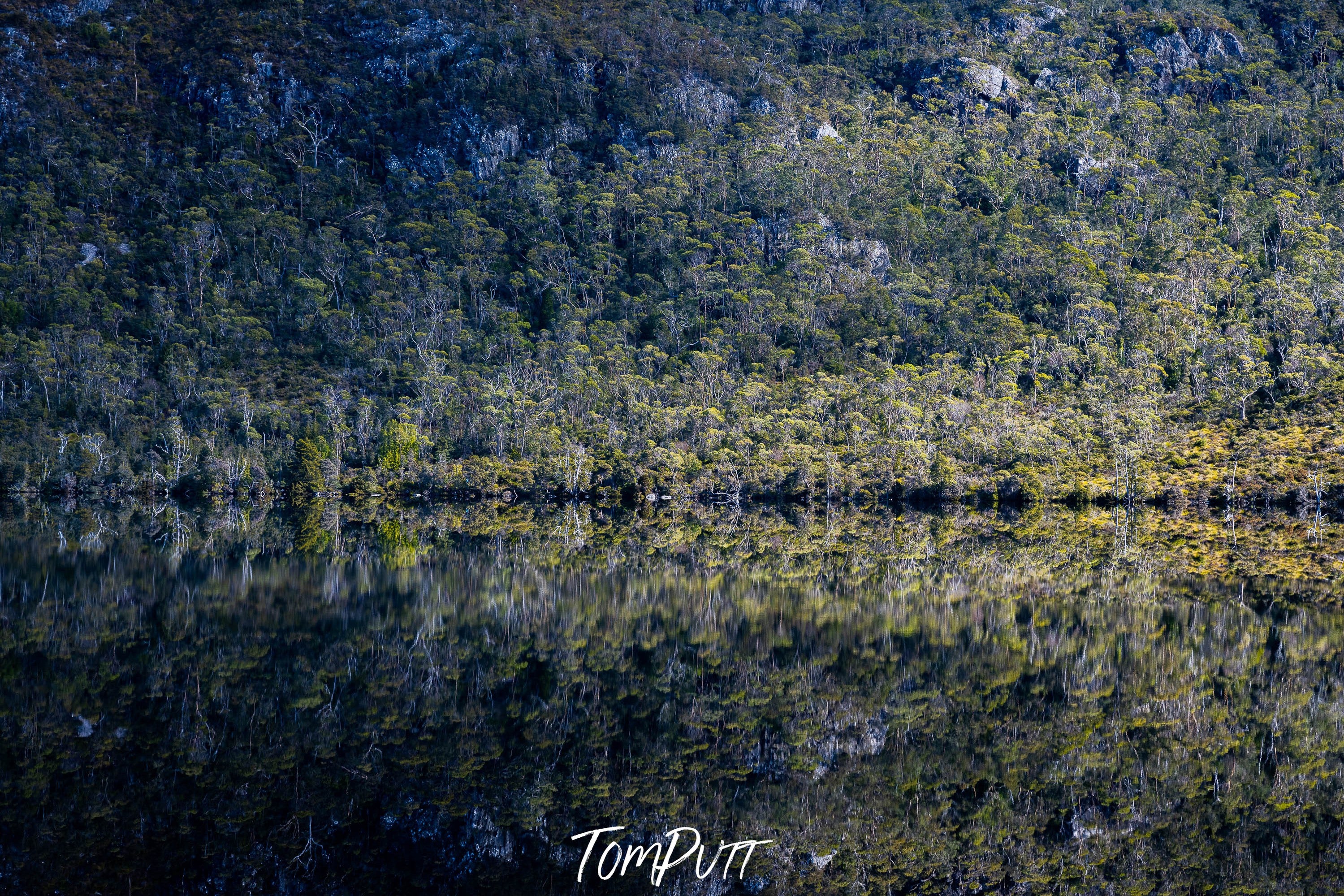 Perfect Reflections on Dove Lake, Cradle Mountain, Tasmania