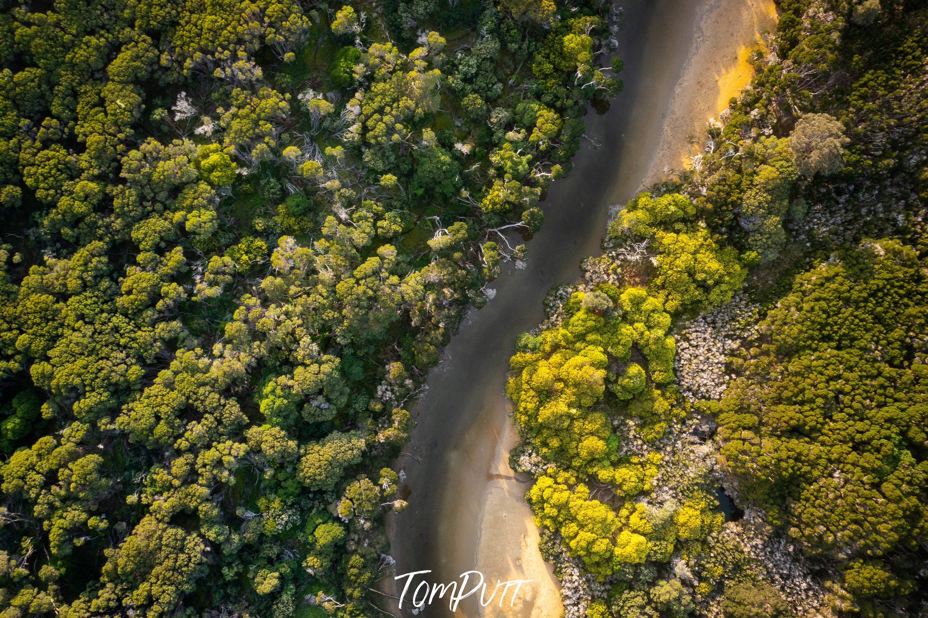 Creek from Above, Flinders Island, Tasmania