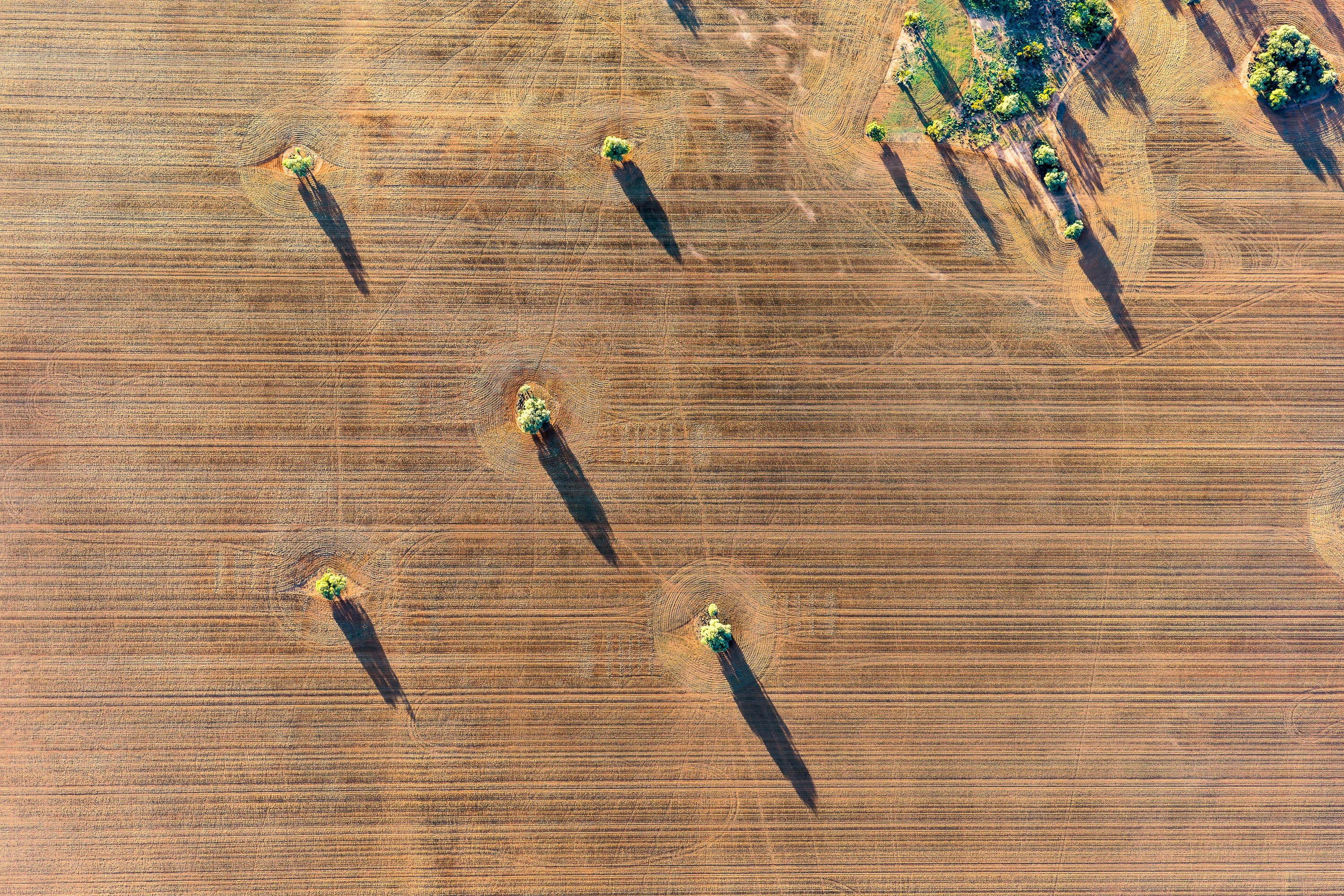 Long Shadows of Sea Lake