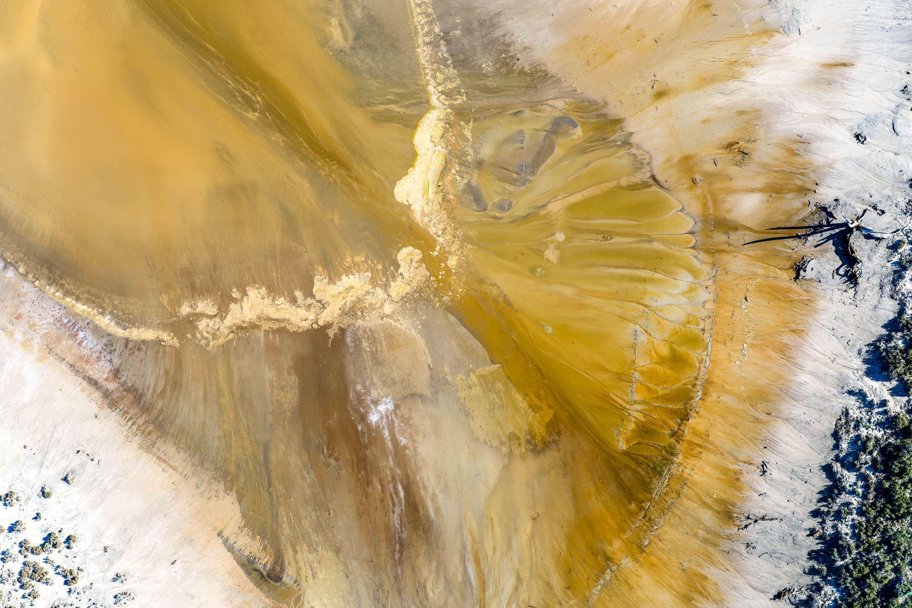 Golden Palette