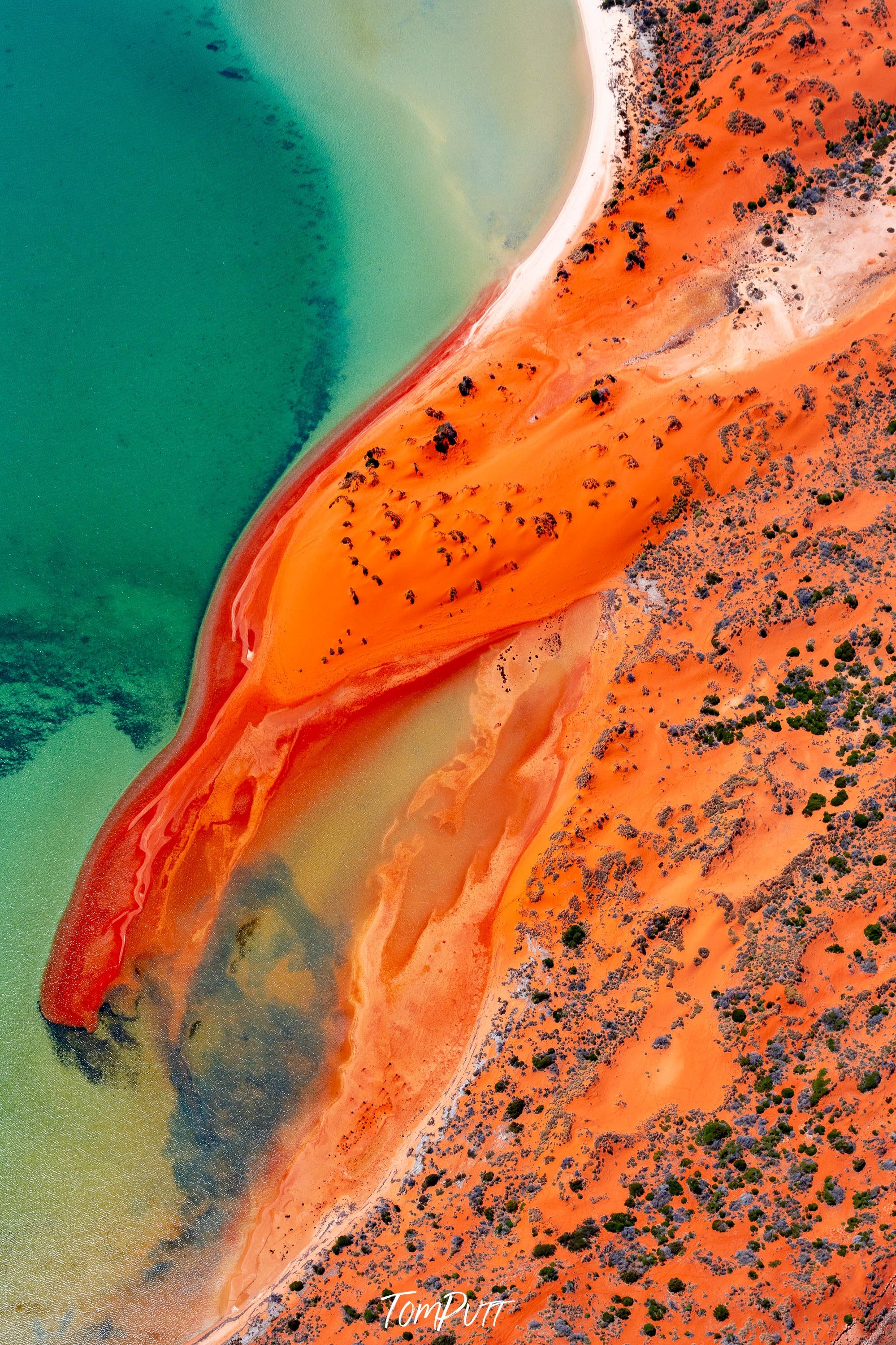 Red Eagle, Shark Bay, WA