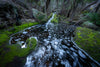Rainforest Stream, Flinders Island, Tasmania