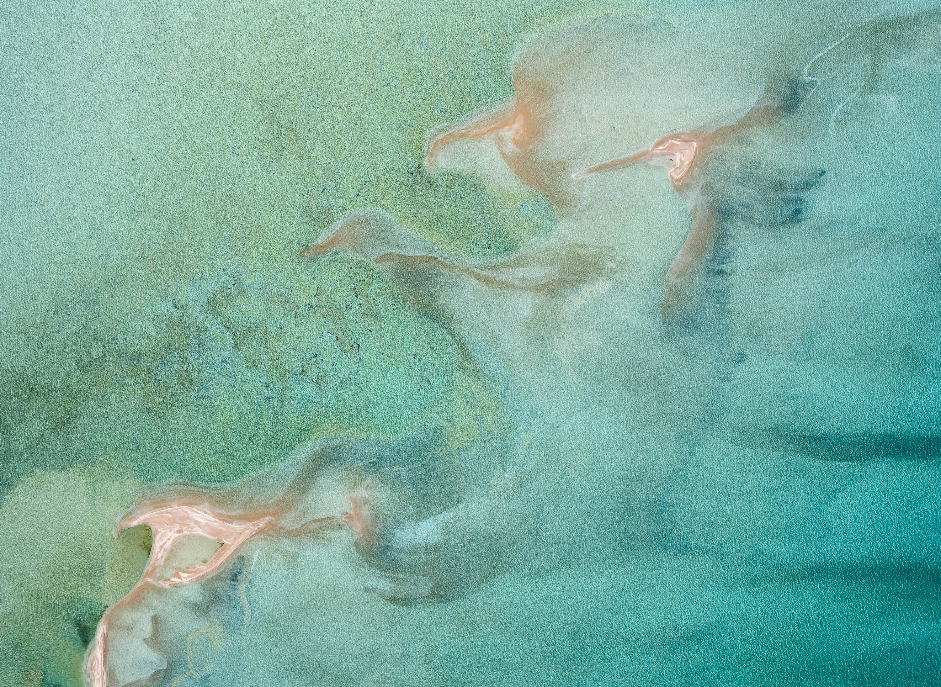 Flying Birds, Shark Bay, WA Aerial