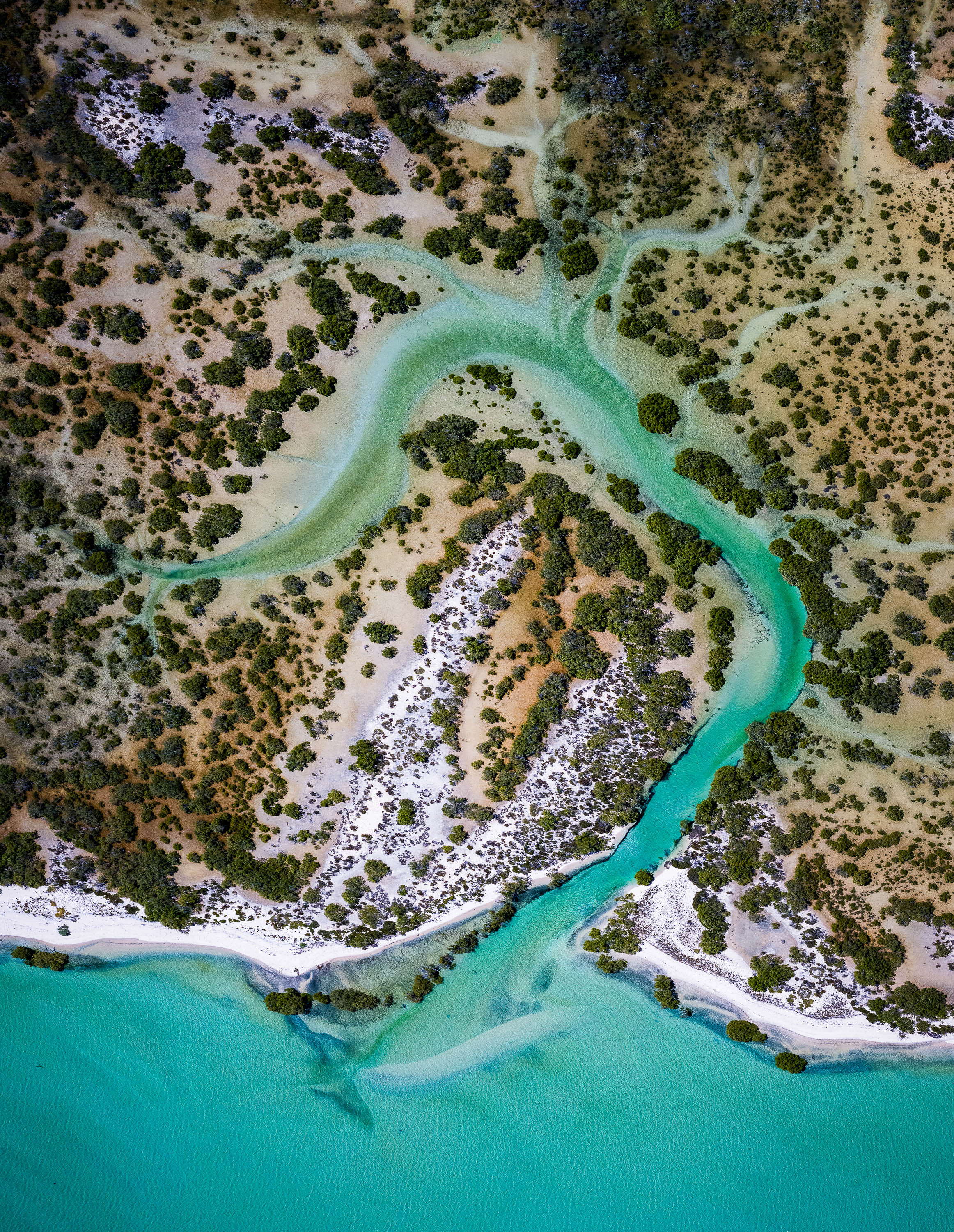 The Hook, Shark Bay, WA Aerial