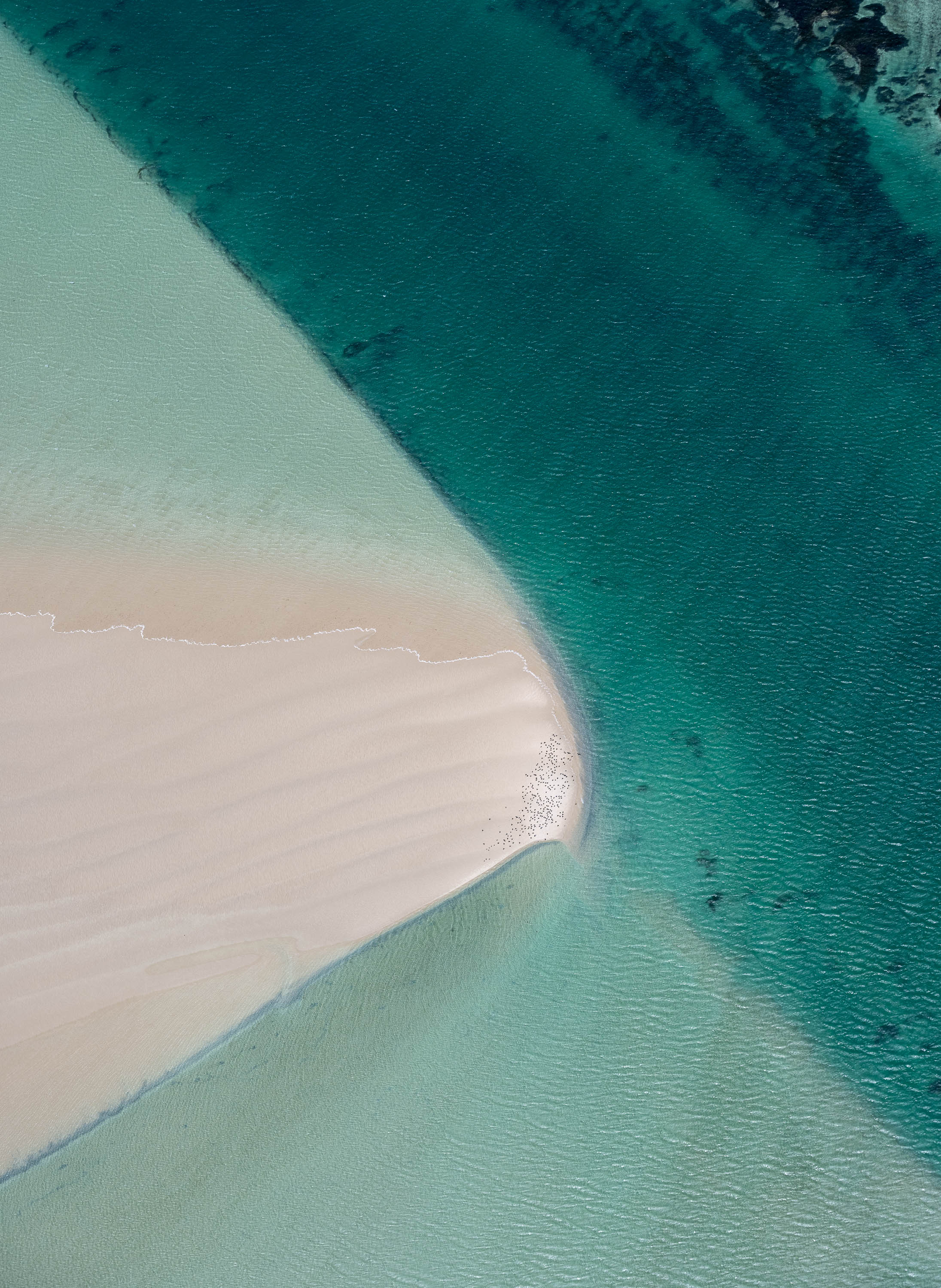Sandbar, Shark Bay, WA Aerial
