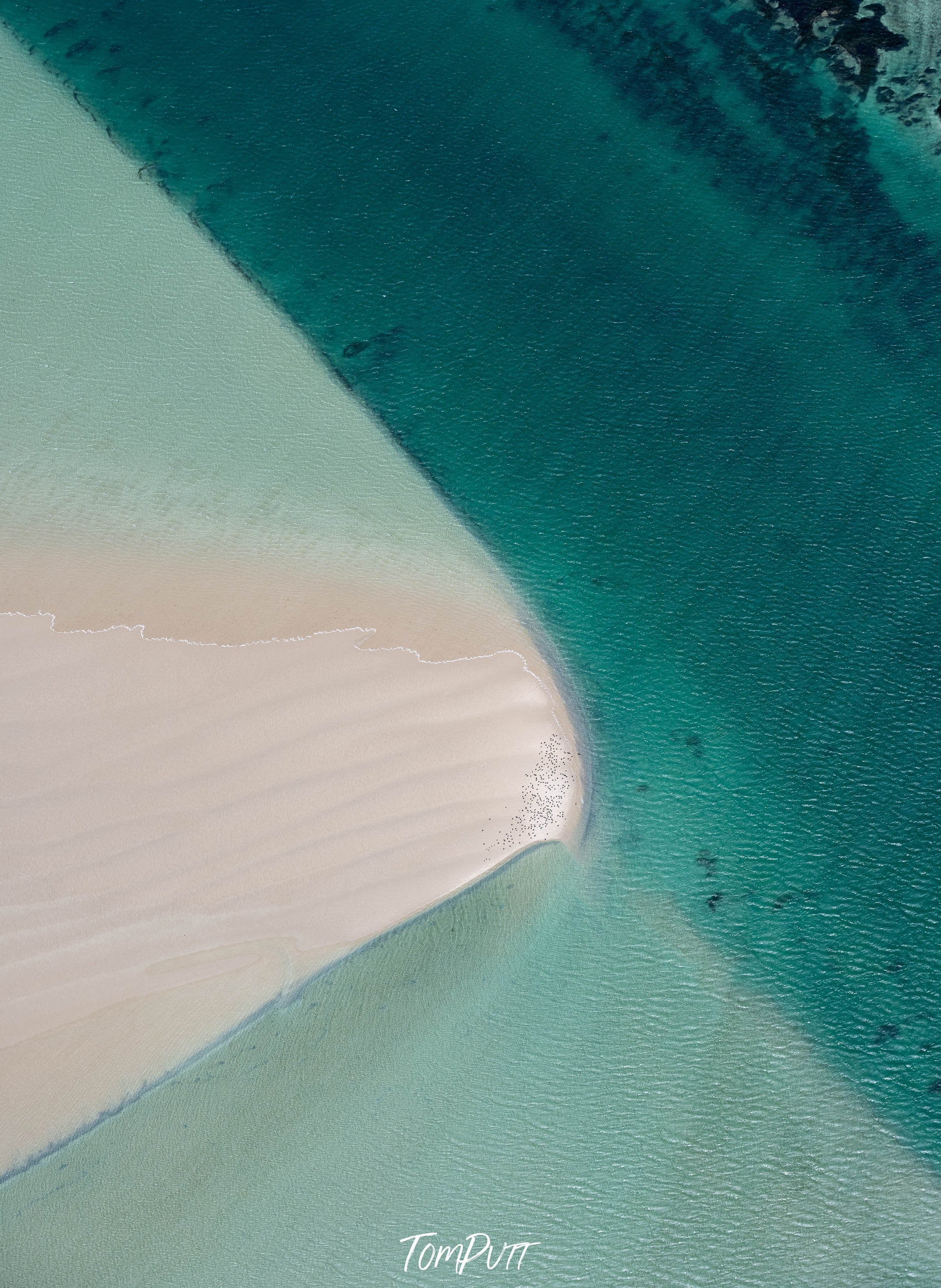 Sandbar, Shark Bay, WA Aerial