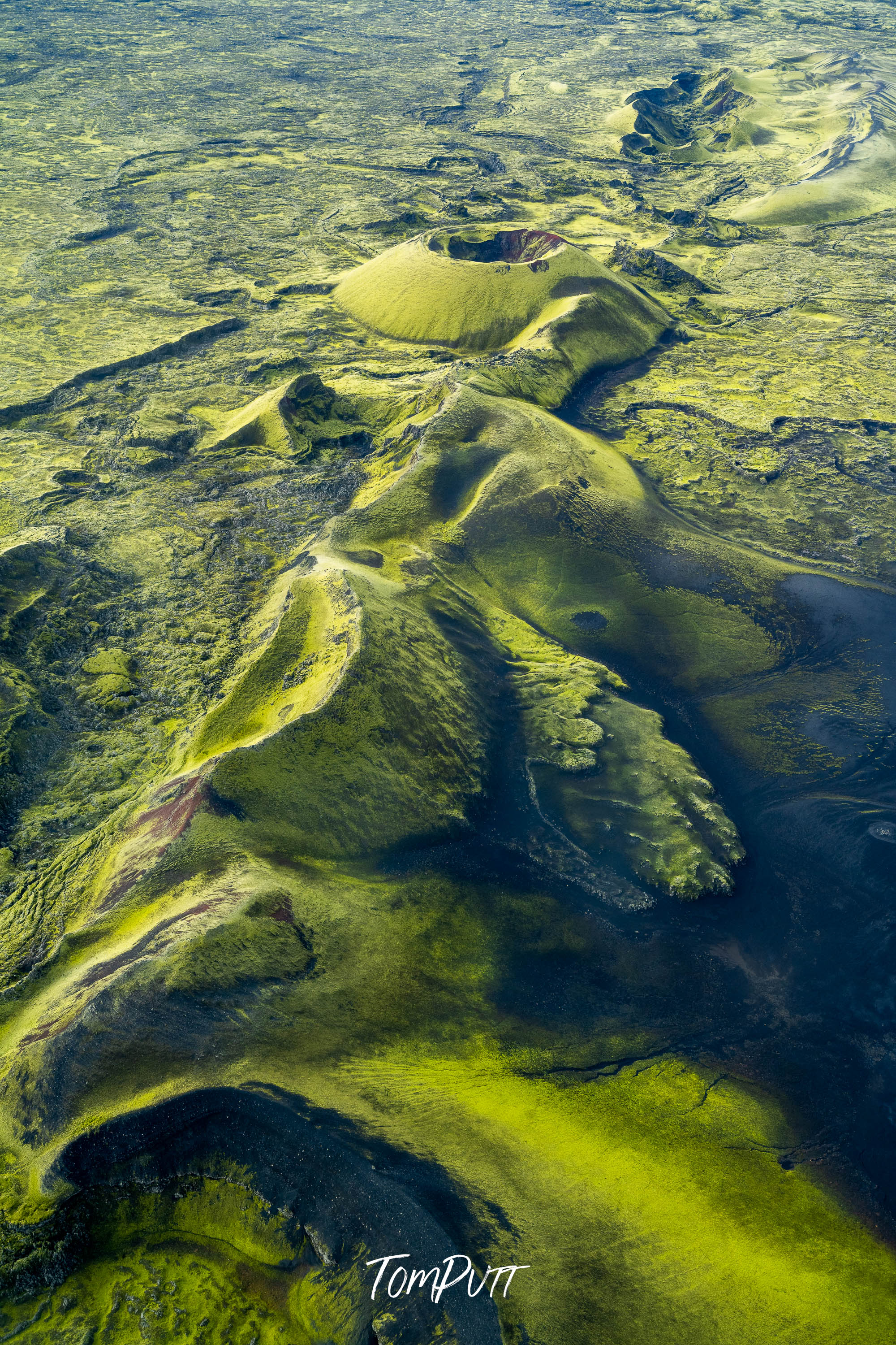 Volcanic Greenery, Iceland
