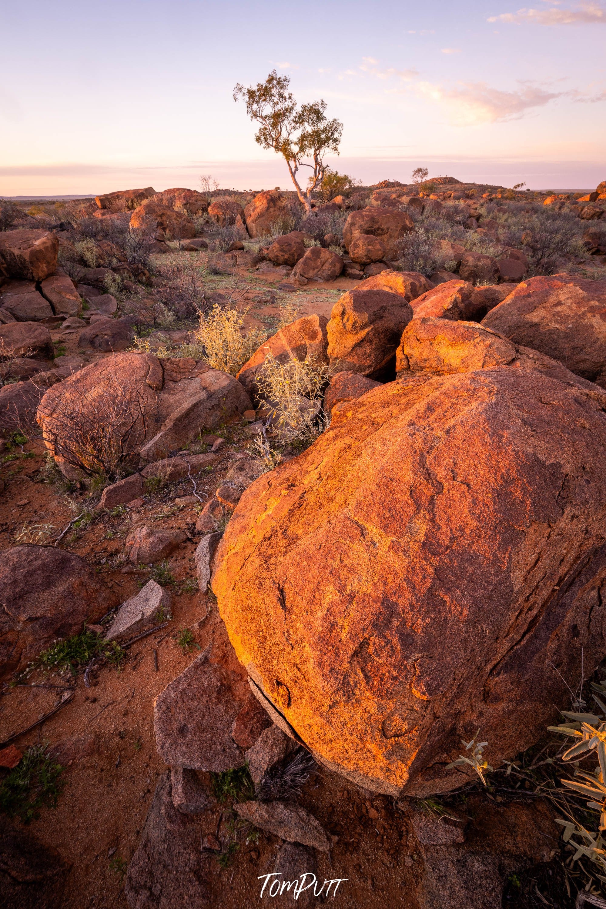 Eternal Strength, Tibooburra, NSW