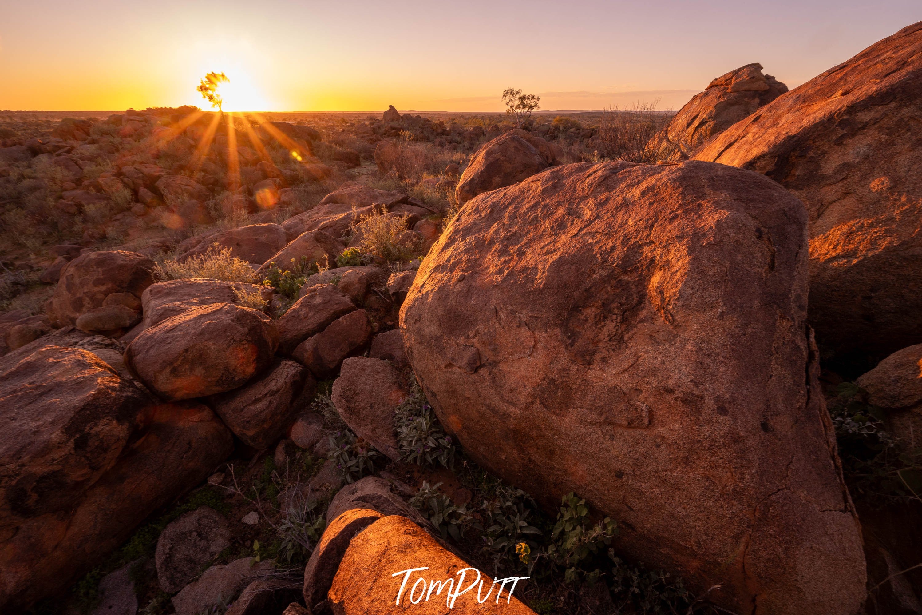 Golden Dawn, Tibooburra, NSW