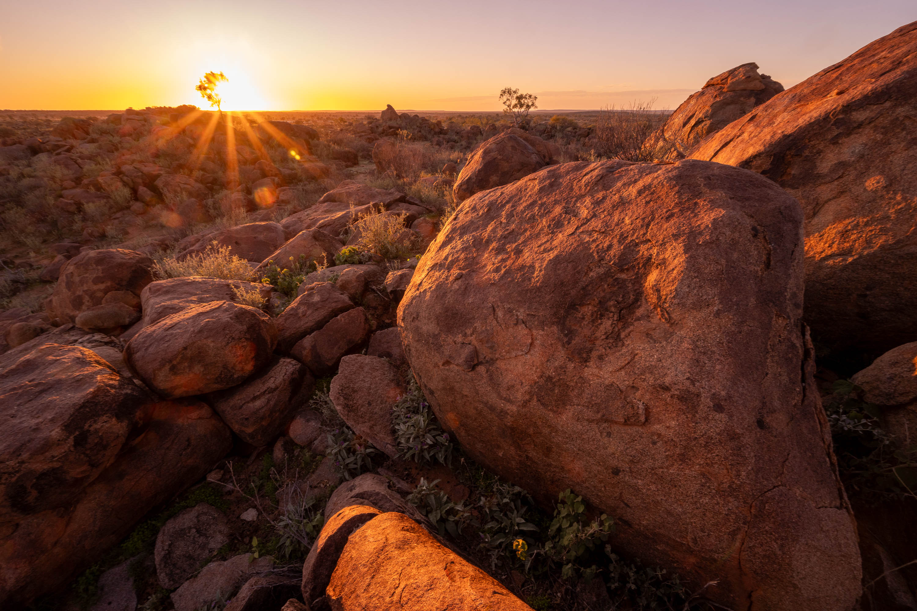 Golden Dawn, Tibooburra, NSW