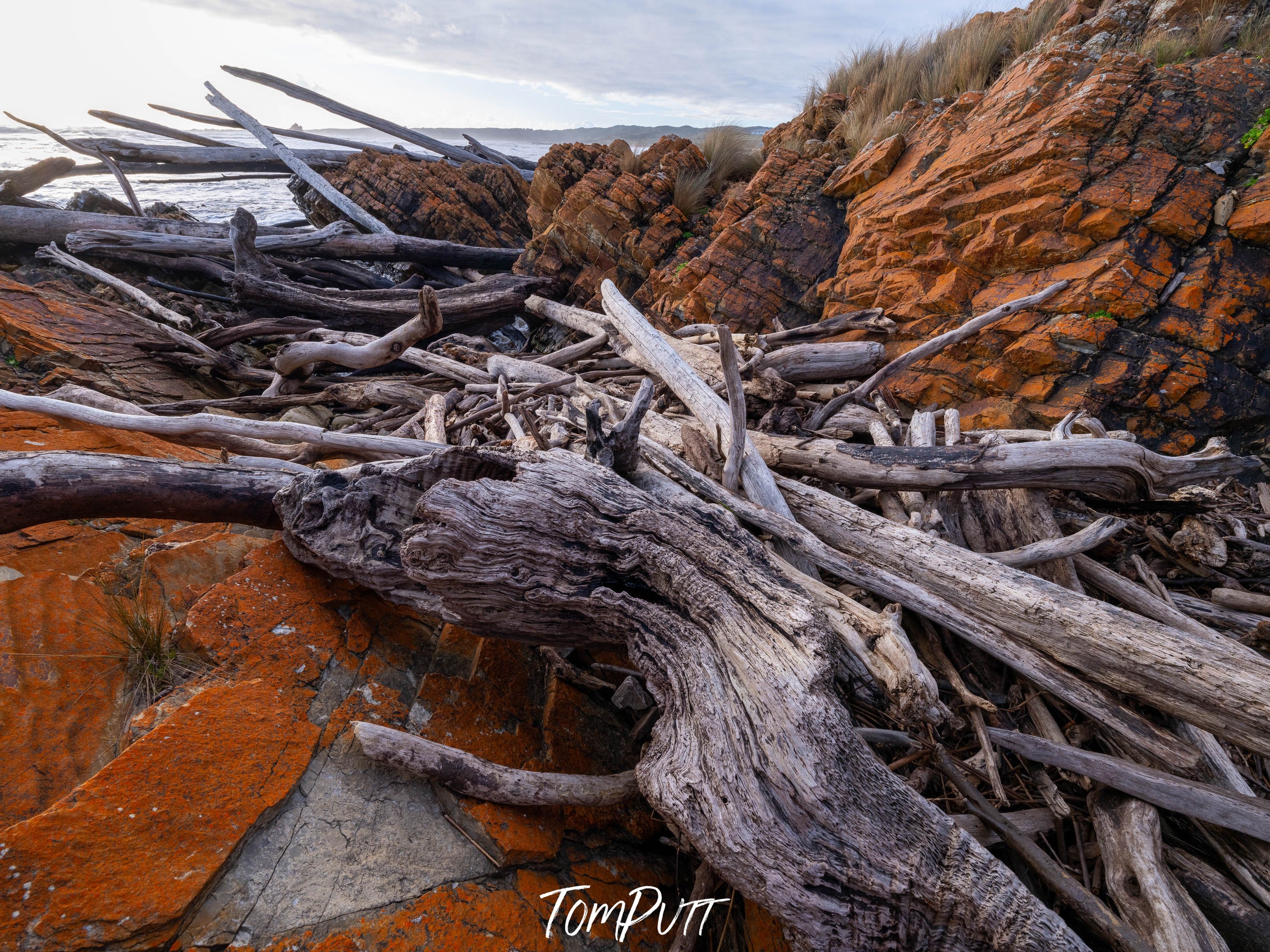 The Tarkine No.3, Tasmania