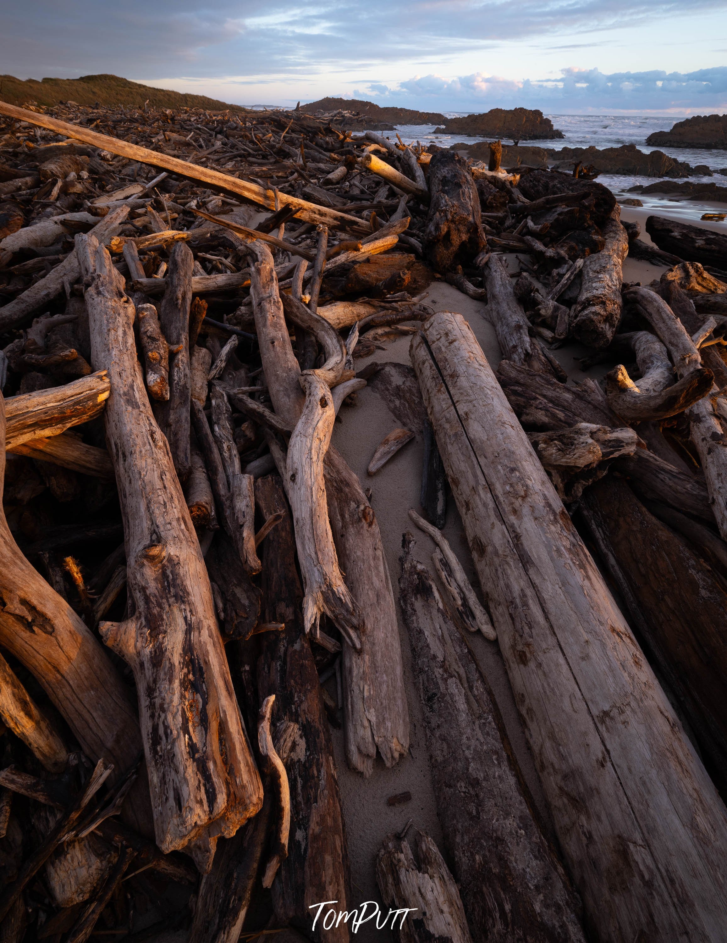 The Tarkine No.4, Tasmania