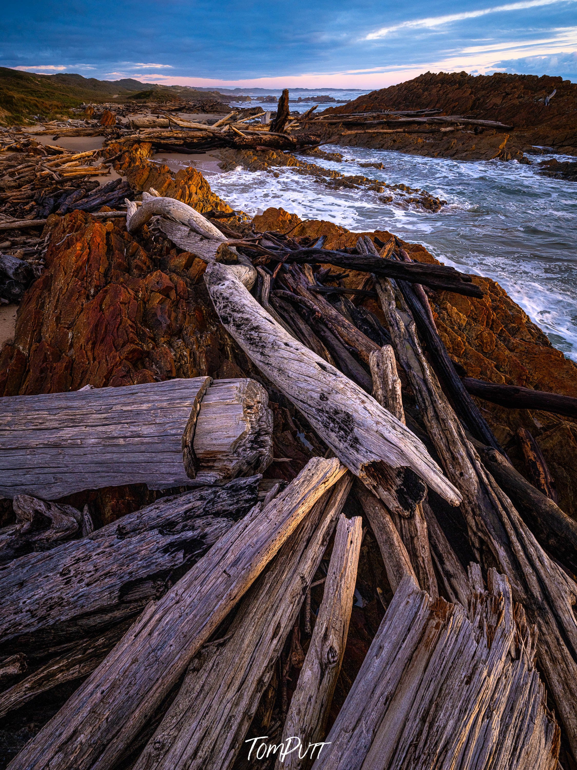 The Tarkine No.5, Tasmania