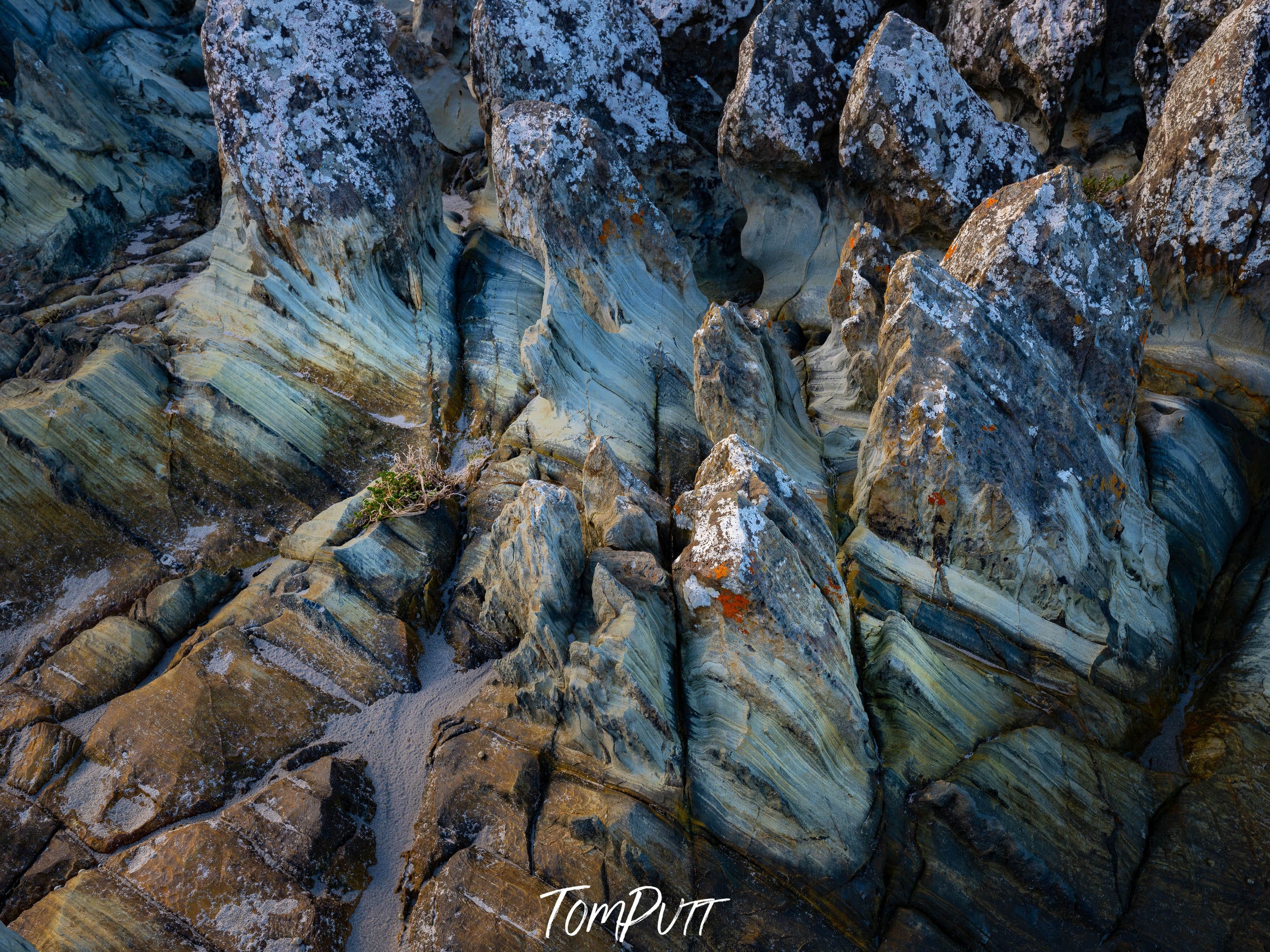 Tarkine Rocks, Tasmania