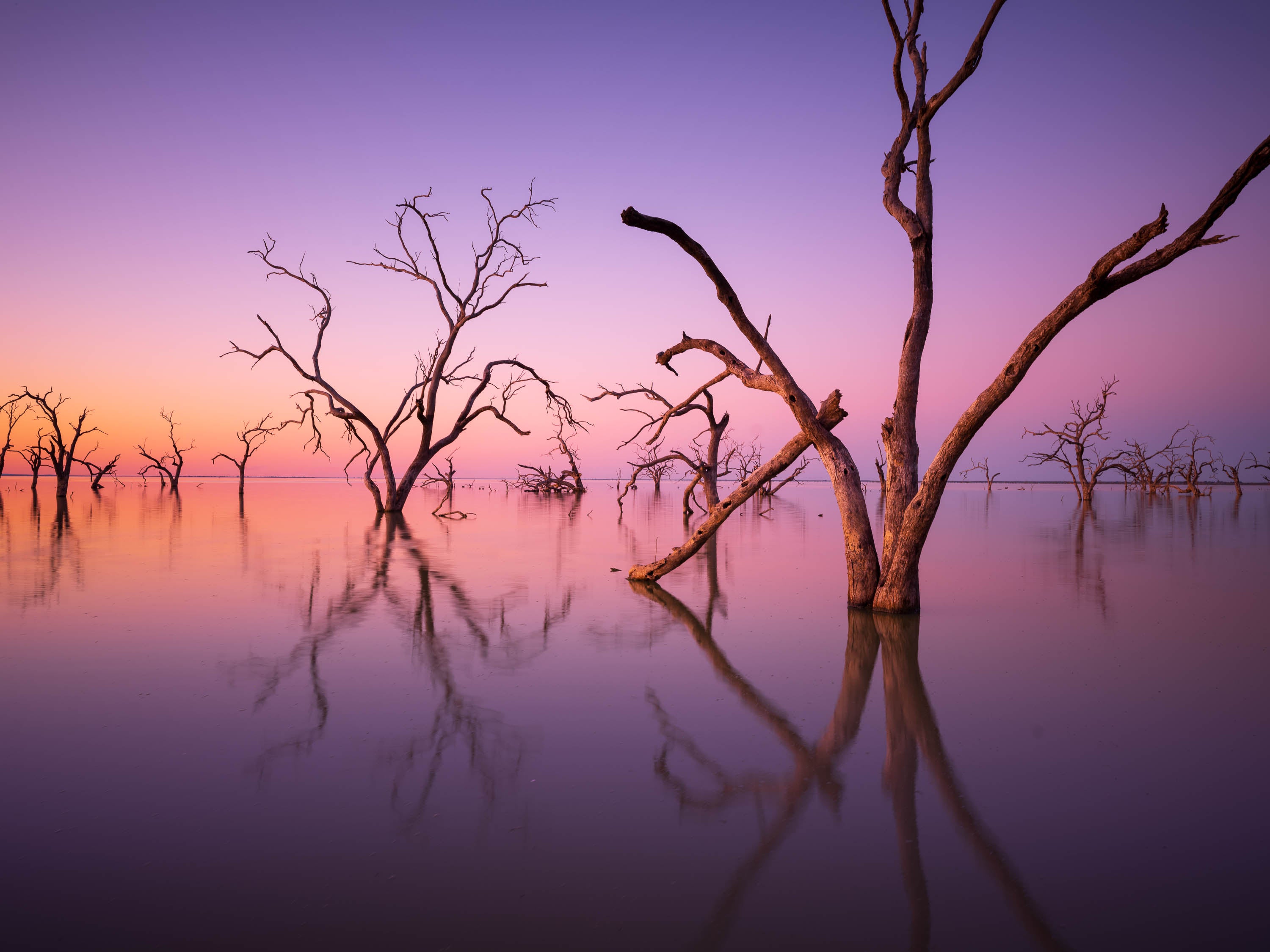 Silent Reflections, Menindee, NSW