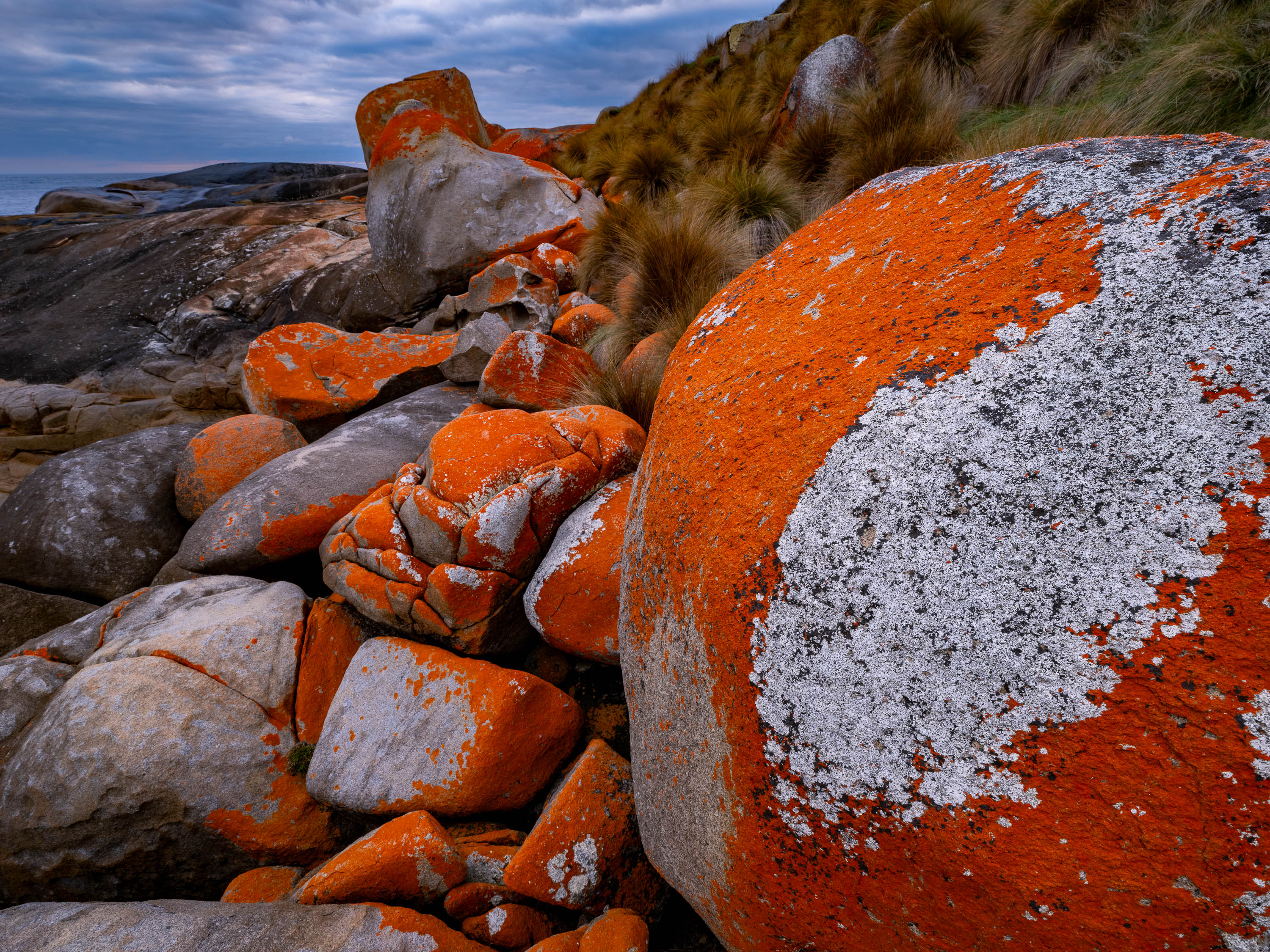 Red Lichen Rocks No.2, Flinders Island, Tasmania