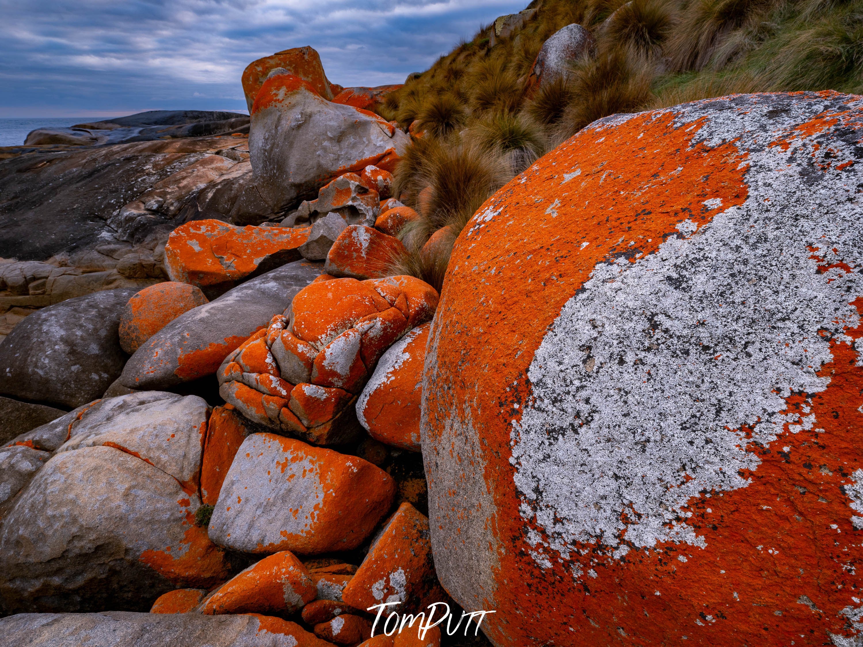 Red Lichen Rocks No.2, Flinders Island, Tasmania