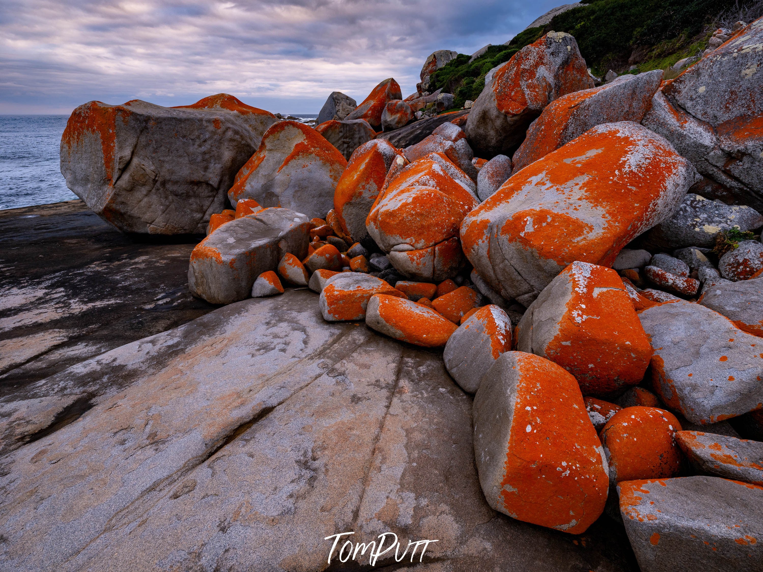 Red Lichen Rocks No.3, Flinders Island, Tasmania