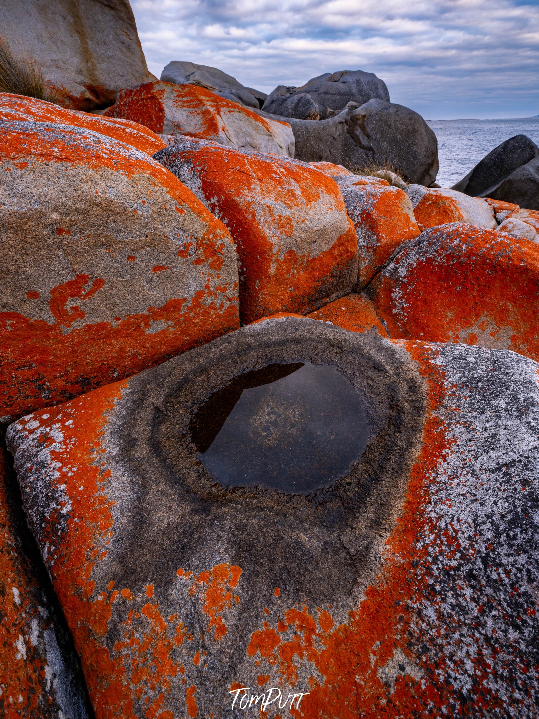 Red Lichen Rocks No.4, Flinders Island, Tasmania