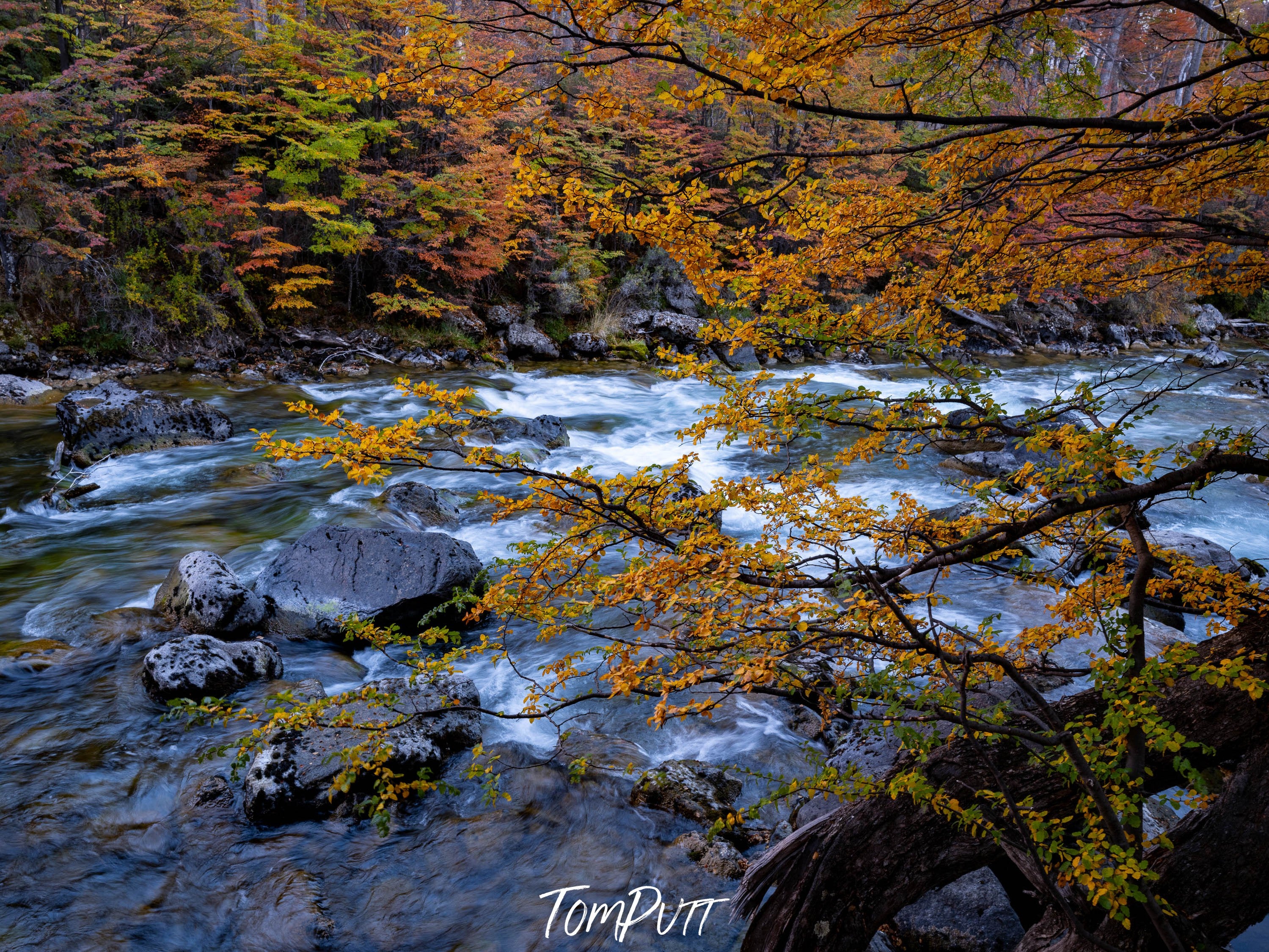 Patagonia Autumn Stream