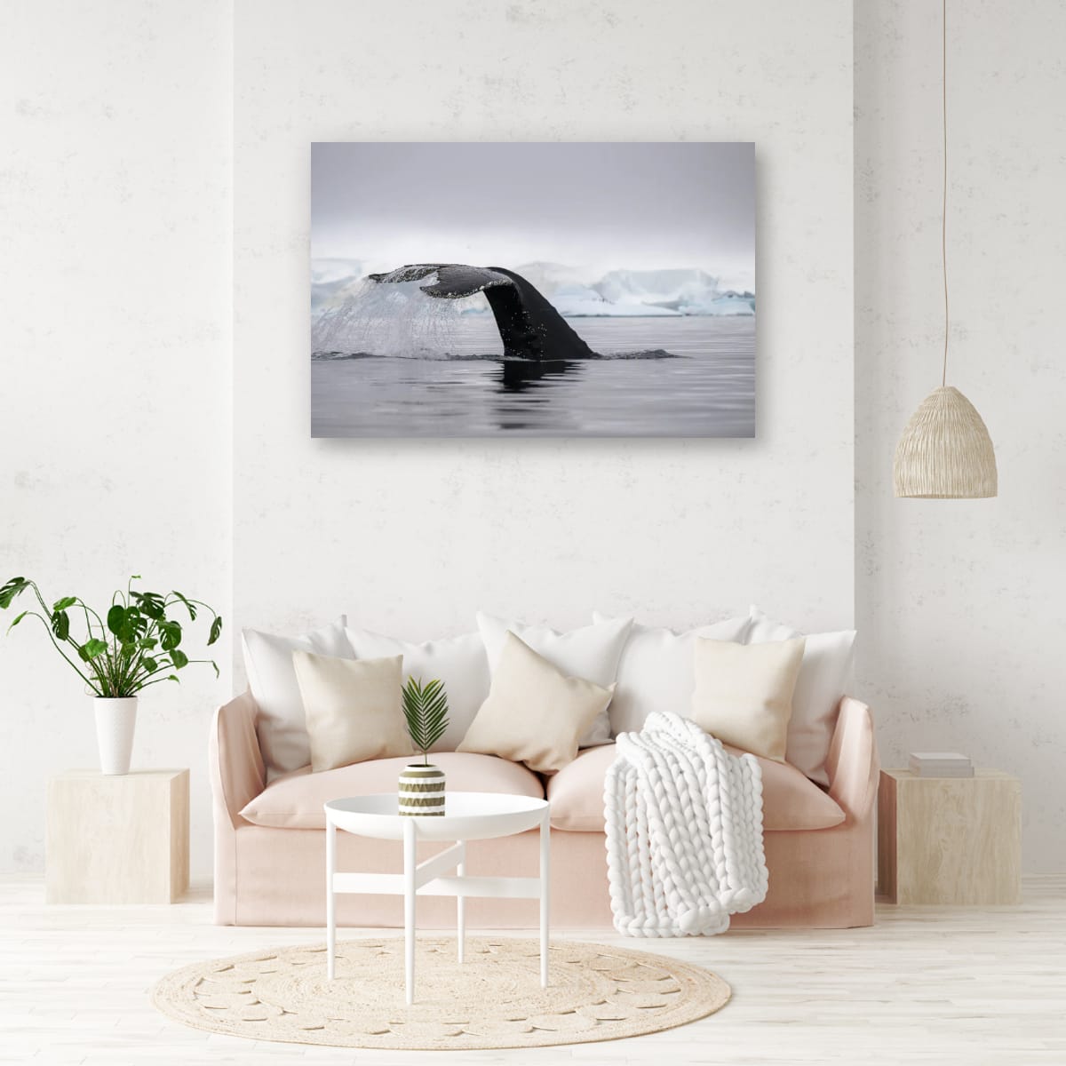 Whale Tail, Antarctica