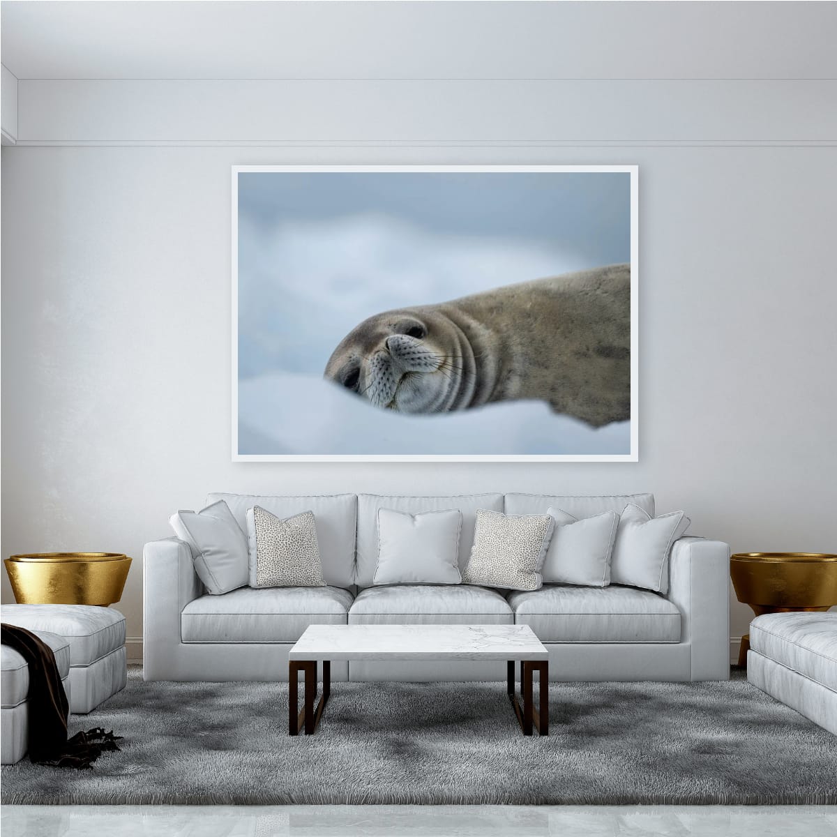 Snowy Seal Slumber, Antarctica