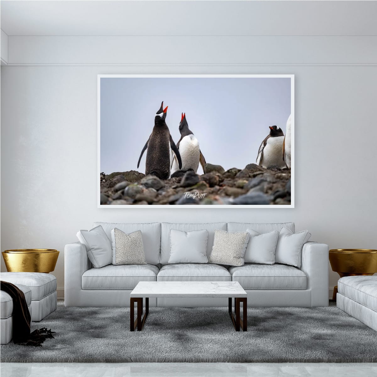 Chorus of Penguins, Antarctica