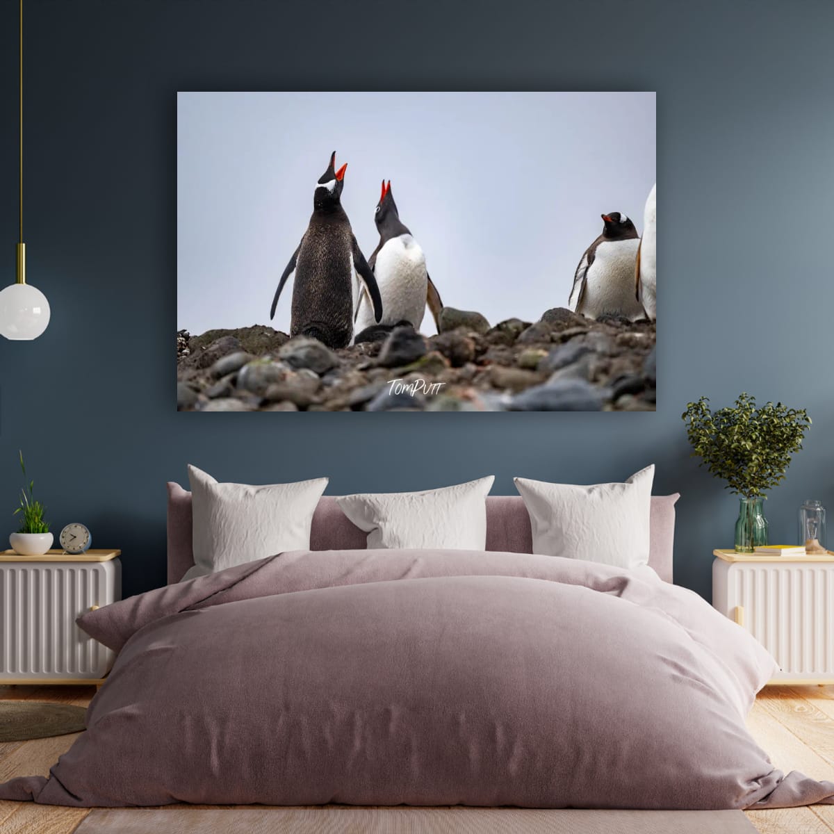 Chorus of Penguins, Antarctica