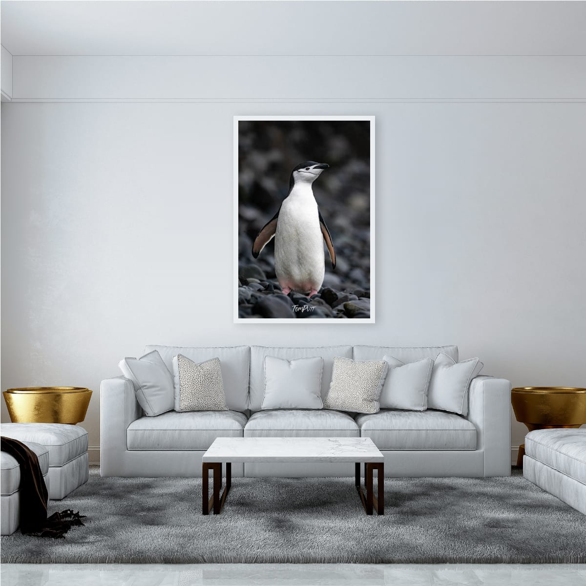 Standing Proud, Chinstrap Penguin, Antarctica