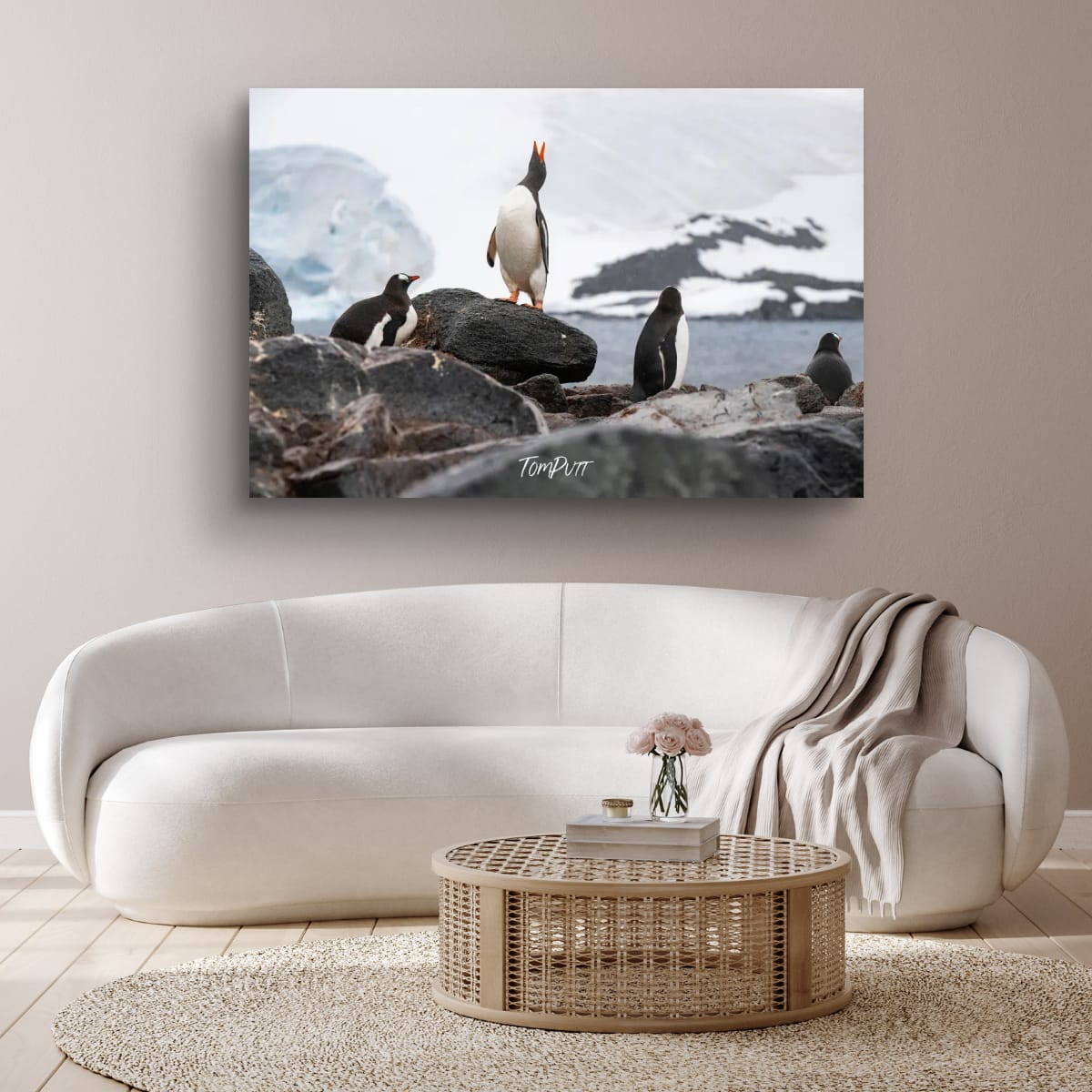 Penguin Serenade, Antarctica