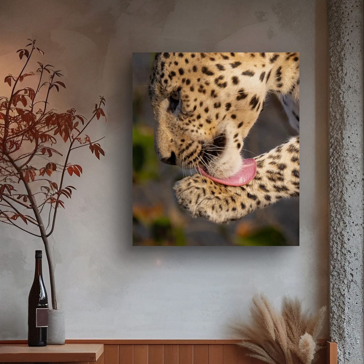 Leopard Grooming, India