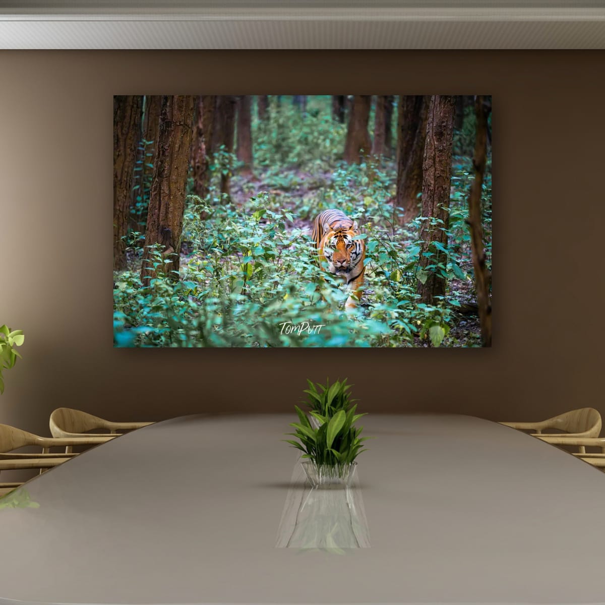 Tiger Encounter, India