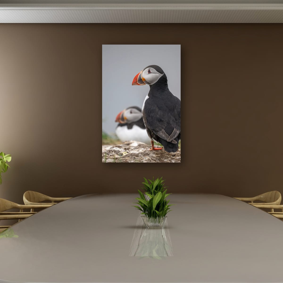 Atlantic Puffin Pair