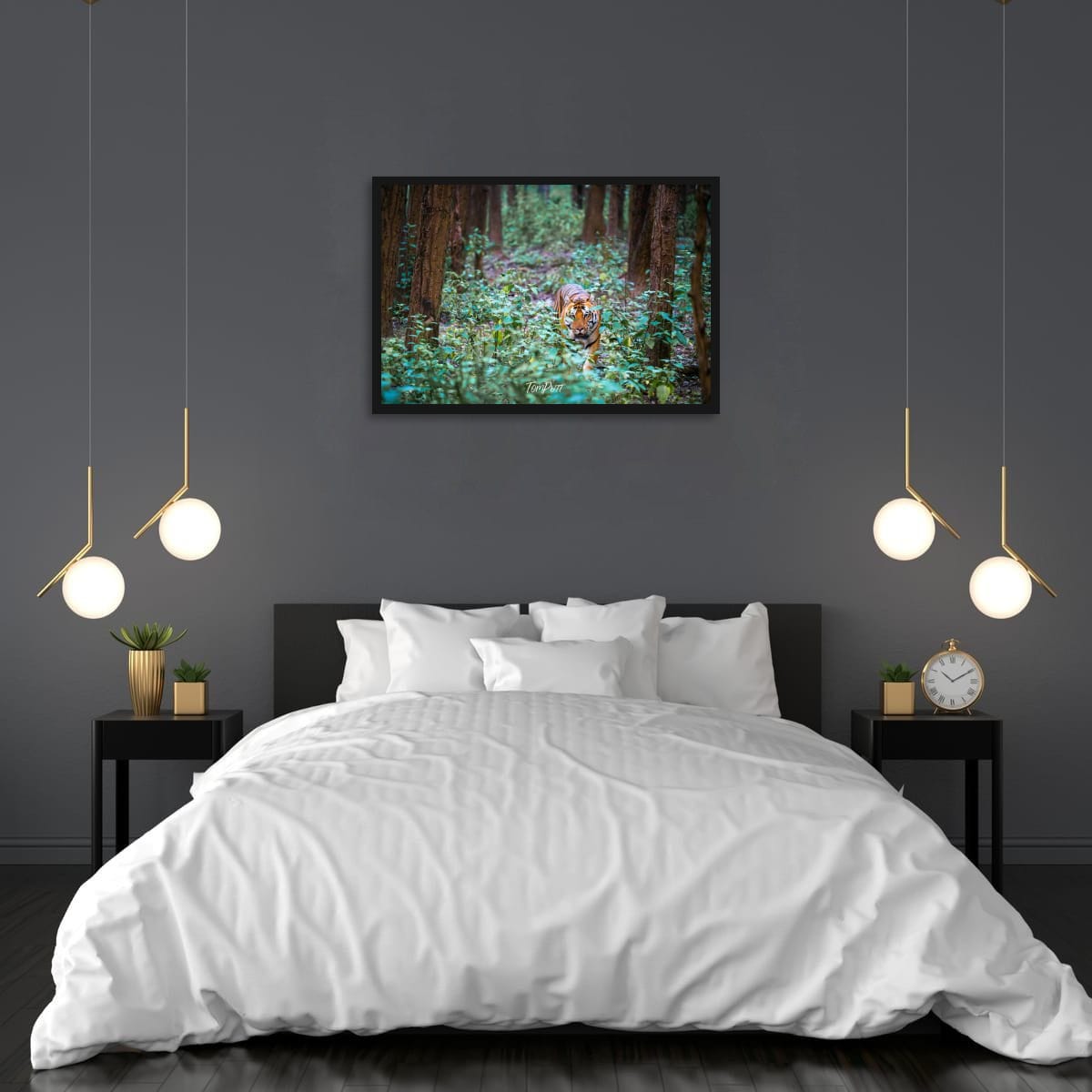 Tiger Encounter, India