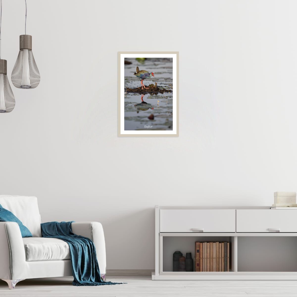 Swamp Hen Reflection