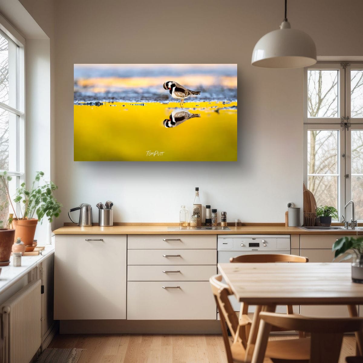 Golden Reflection. Black-Fronted Dotterel