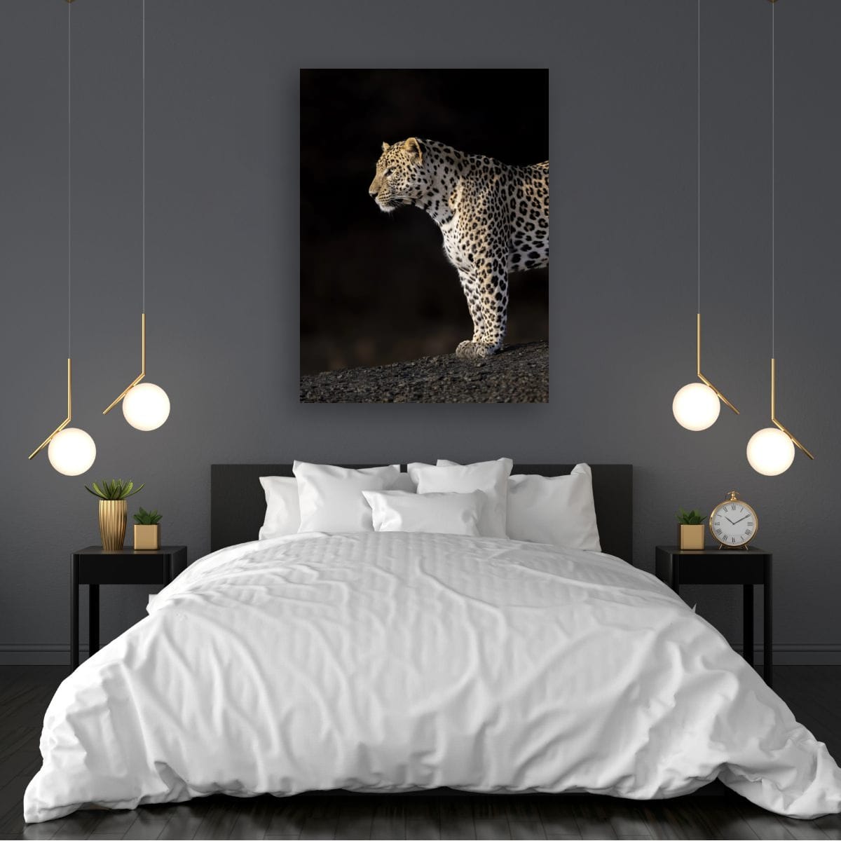 Leopard Profile, India