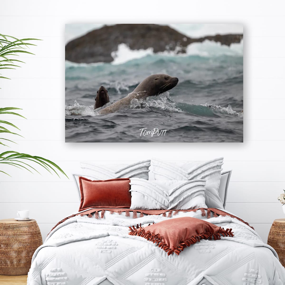 Surfing Sibling Sea Lions