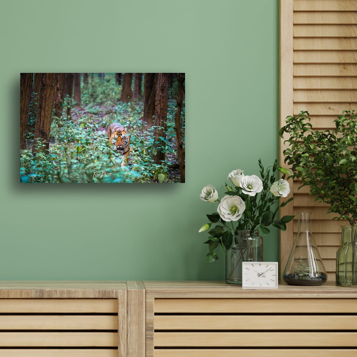 Tiger Encounter, India