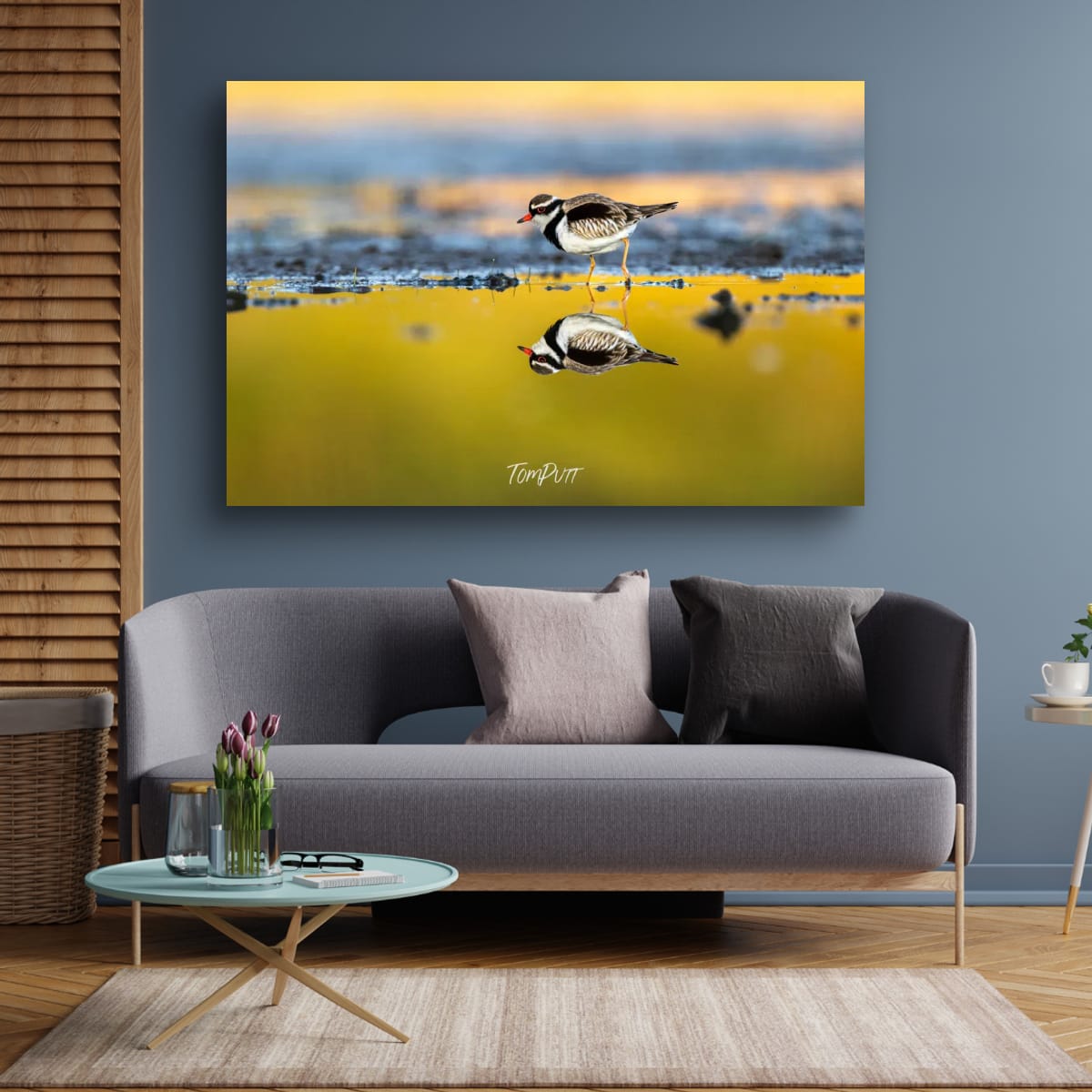 Tide’s Mirror. Black-Fronted Dotterel