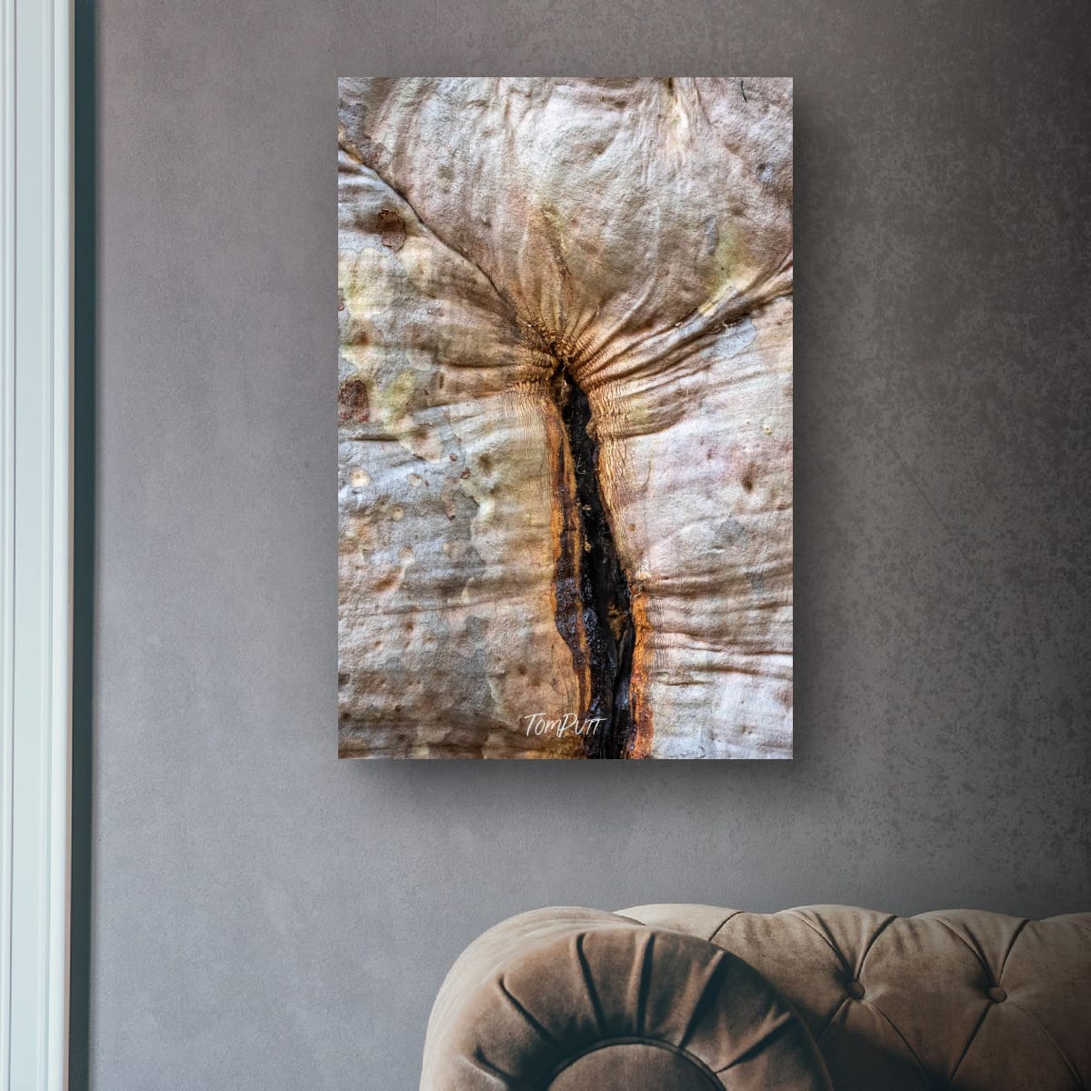 Wrinkles of Time, Carnarvon Gorge