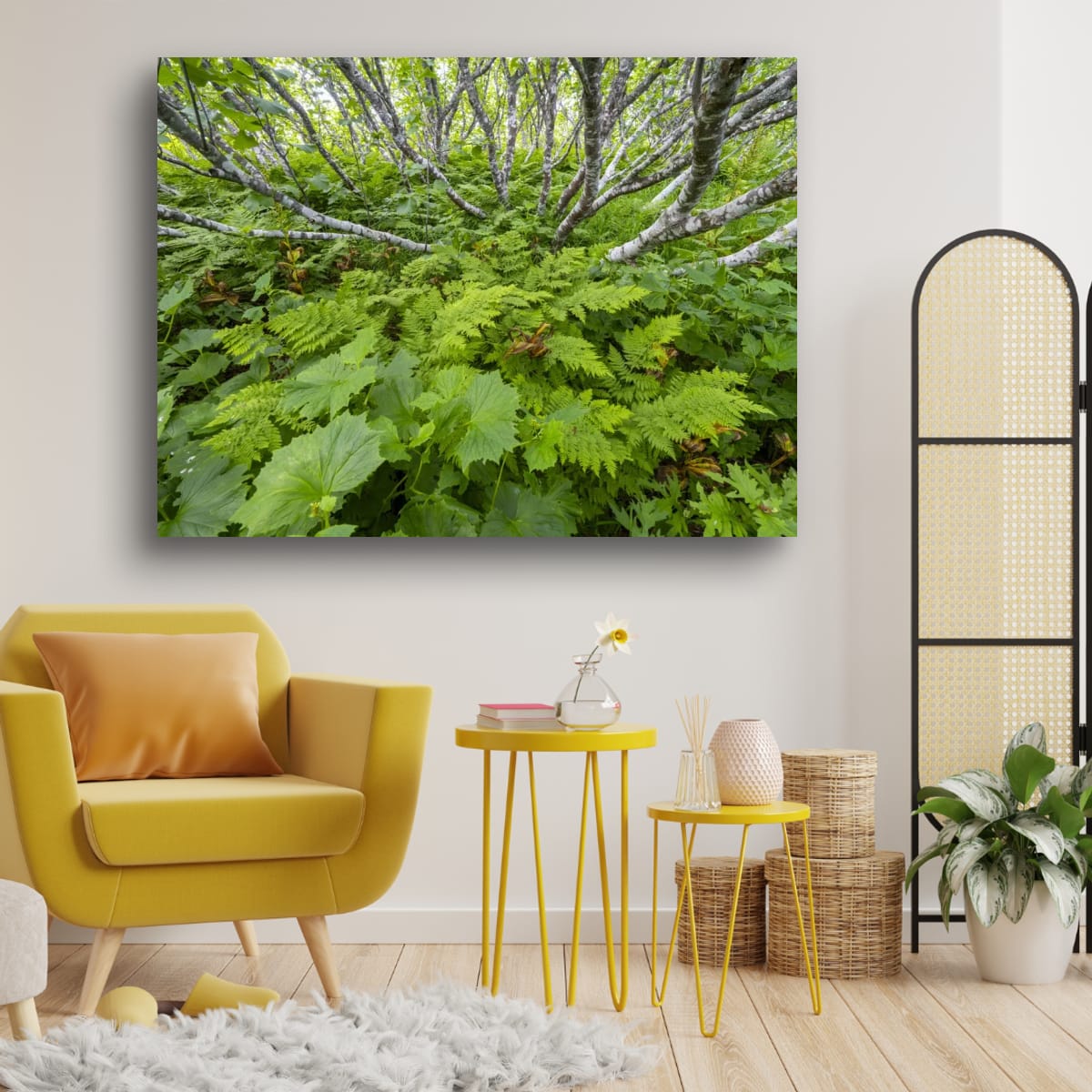 Birch and Fern