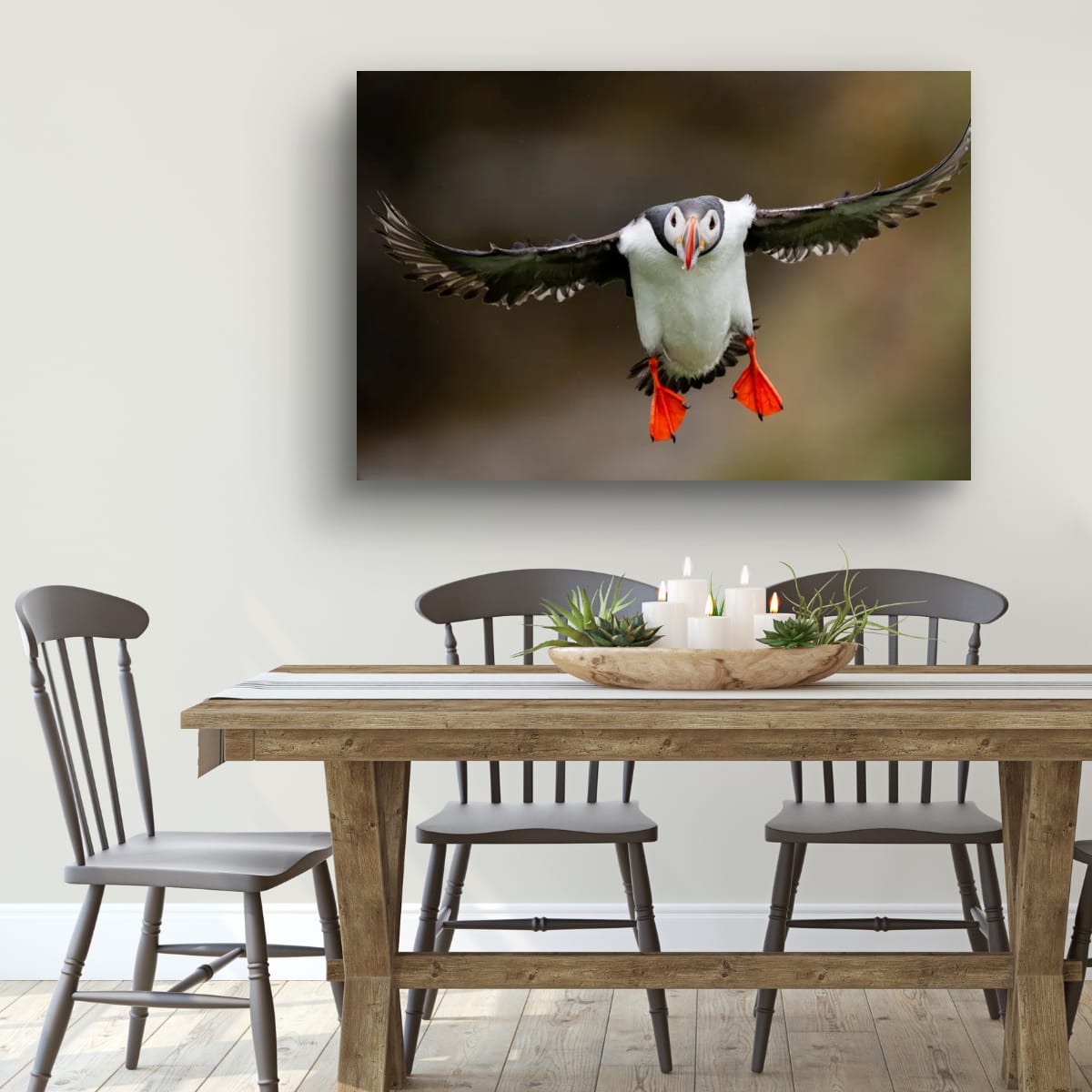 Flight of the Atlantic Puffin
