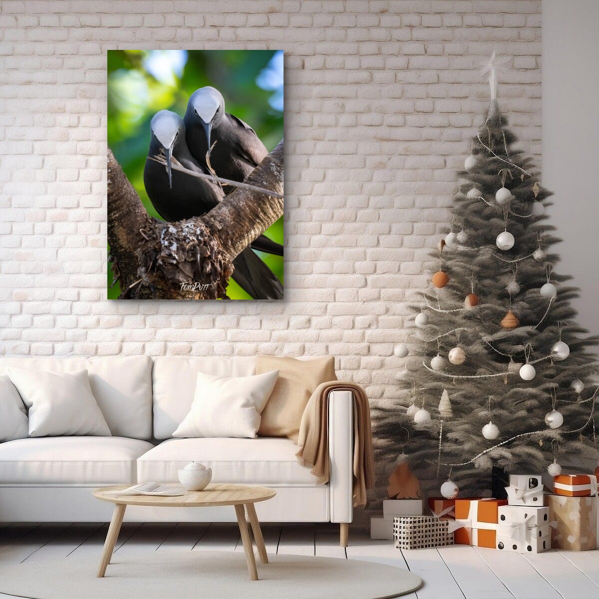 Wilson Island Duo: Two Black Noddies