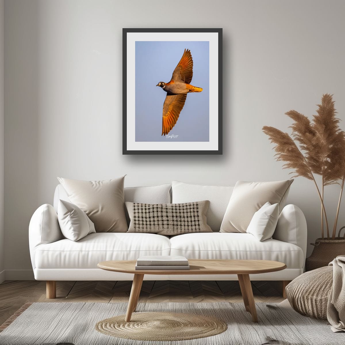 Flock Bronzewing at Dusk