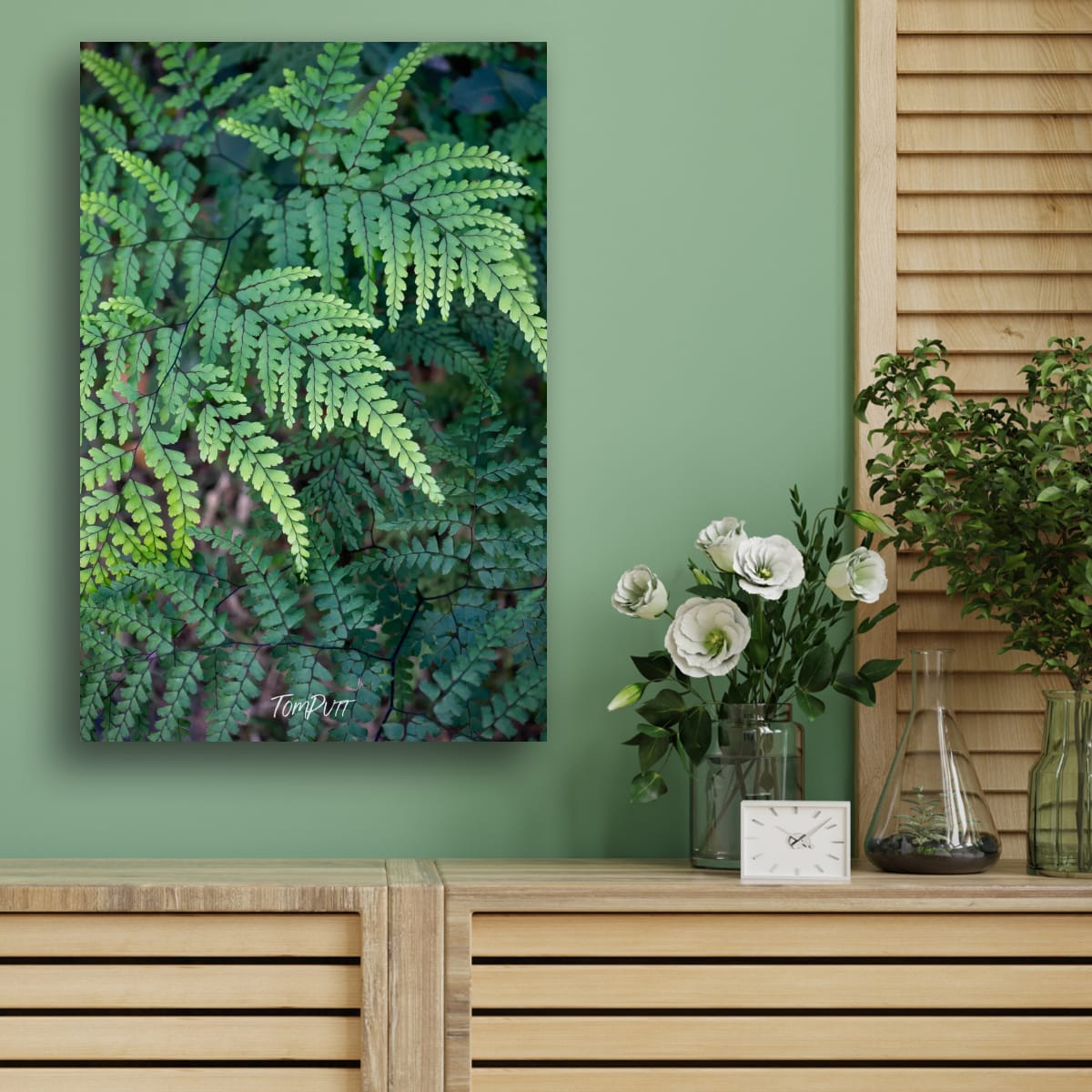 Shades of Green, Carnarvon Gorge